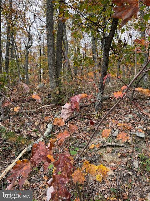 Winchester, VA 22602,LOT 171 FIRE TOWER TRL