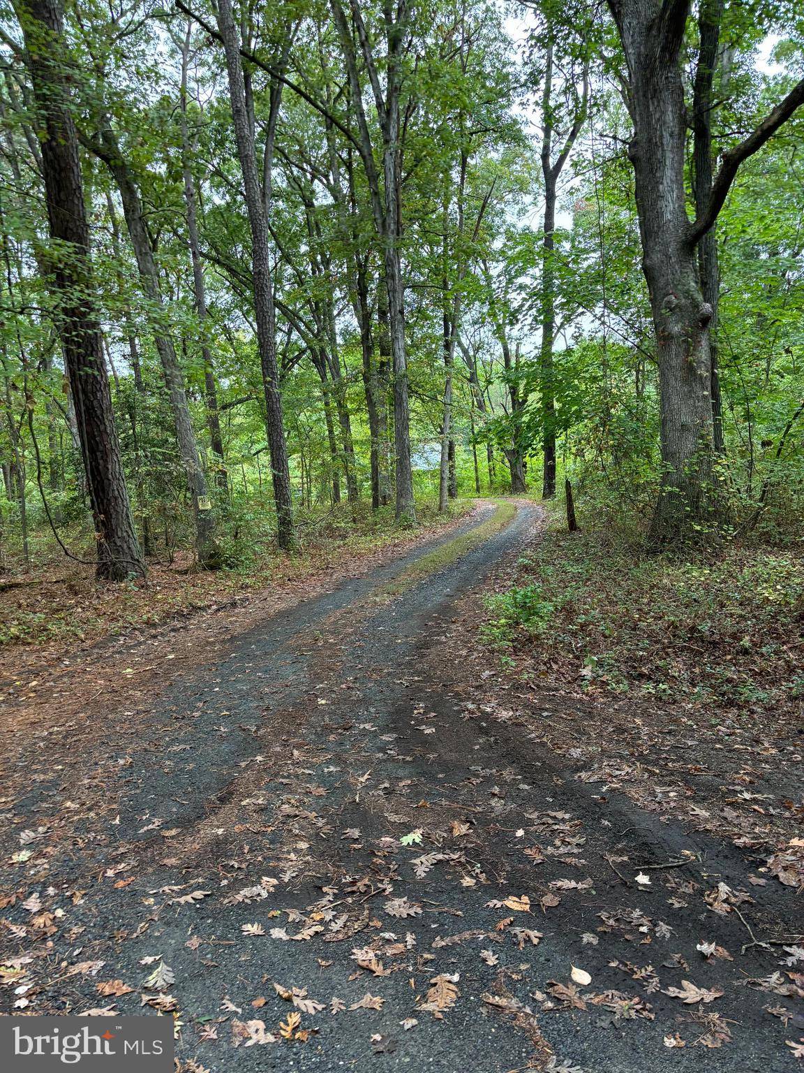 Sherwood, MD 21665,21747 CABIN LN