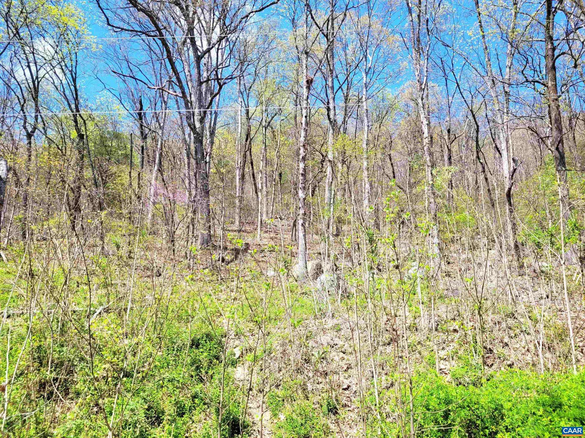 Stanardsville, VA 22973,TBD LOT 41 FARMVIEW RD #41