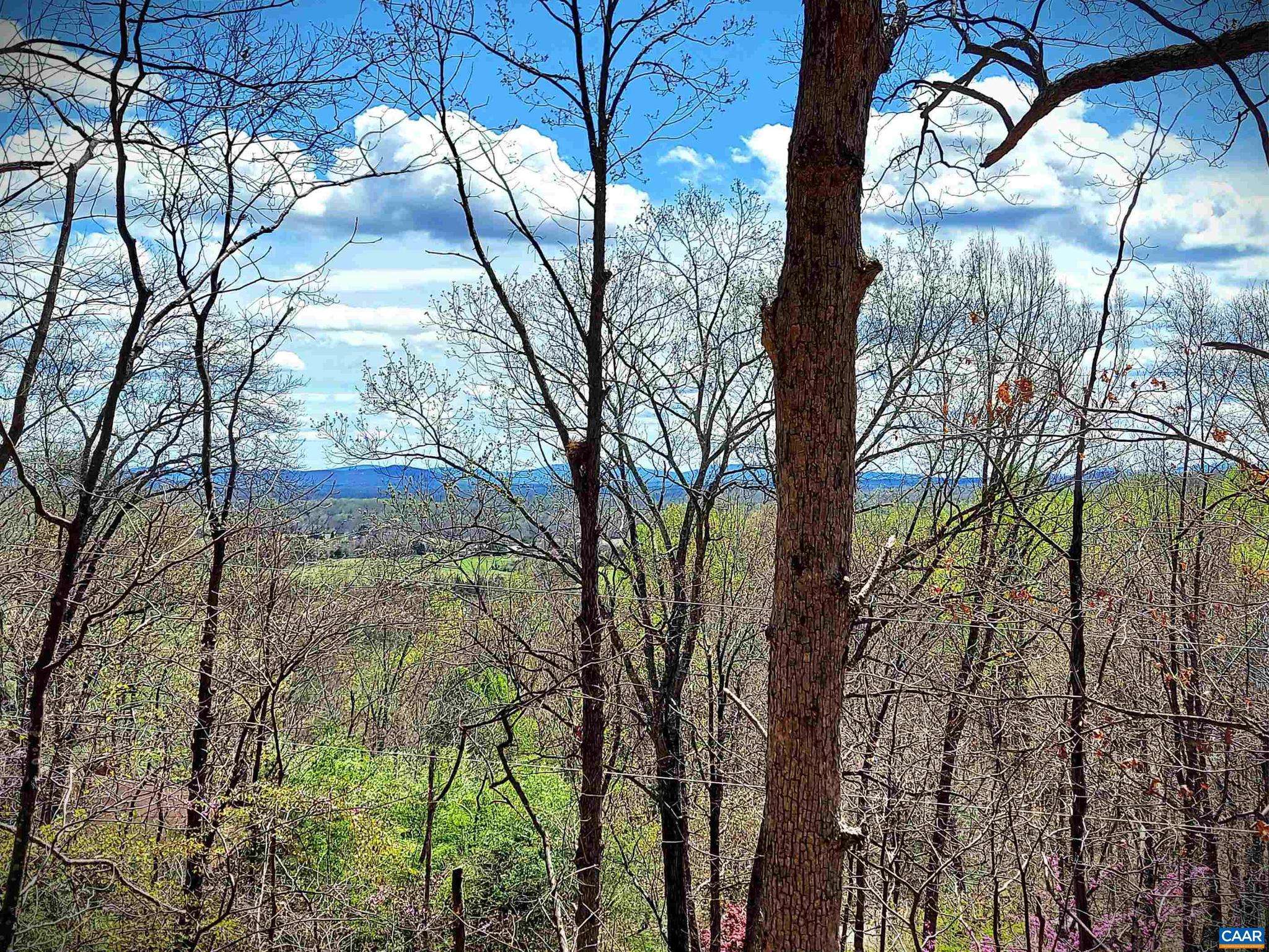 Stanardsville, VA 22973,TBD LOT 41 FARMVIEW RD #41