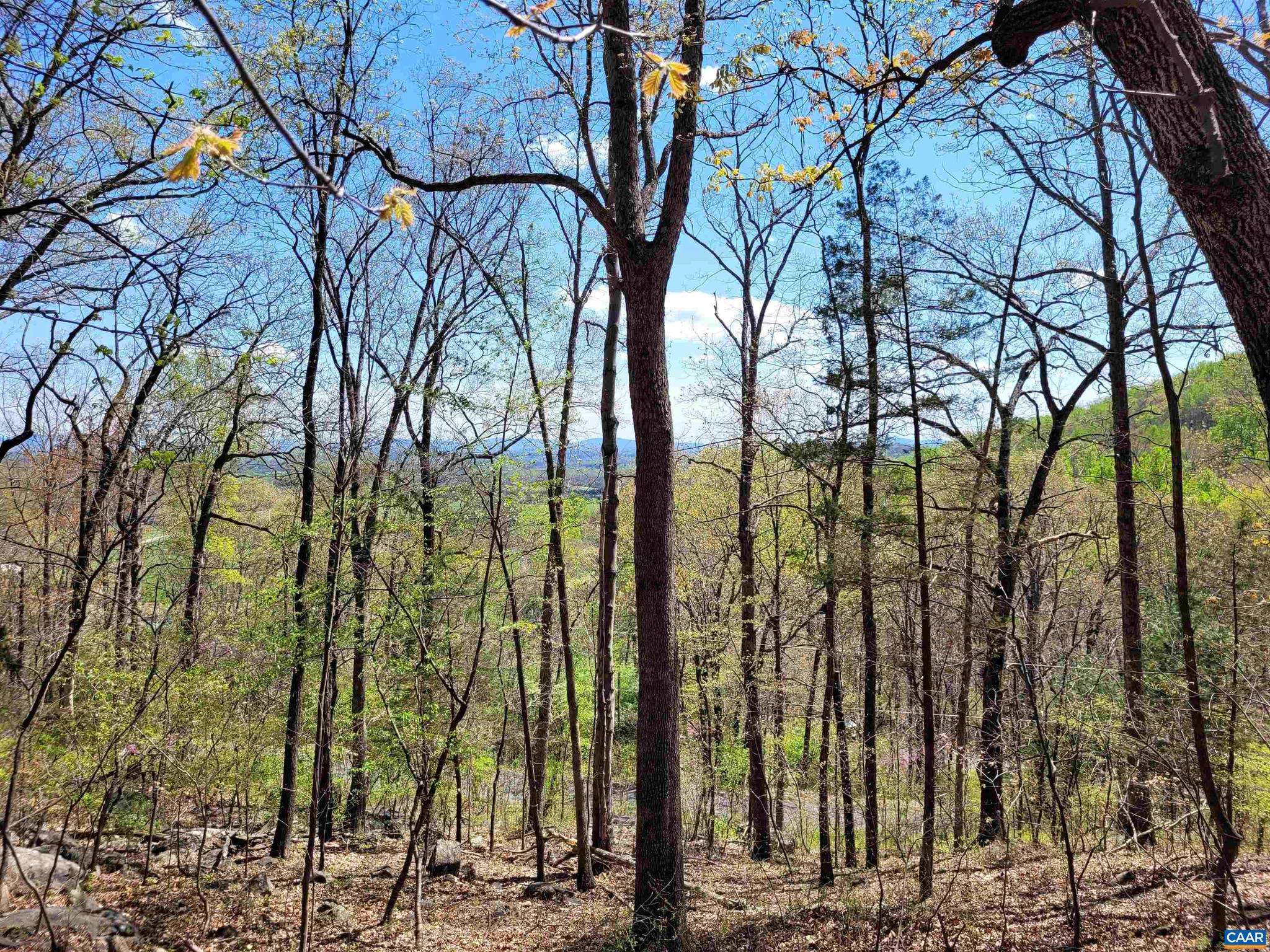 Stanardsville, VA 22973,TBD LOT 41 FARMVIEW RD #41