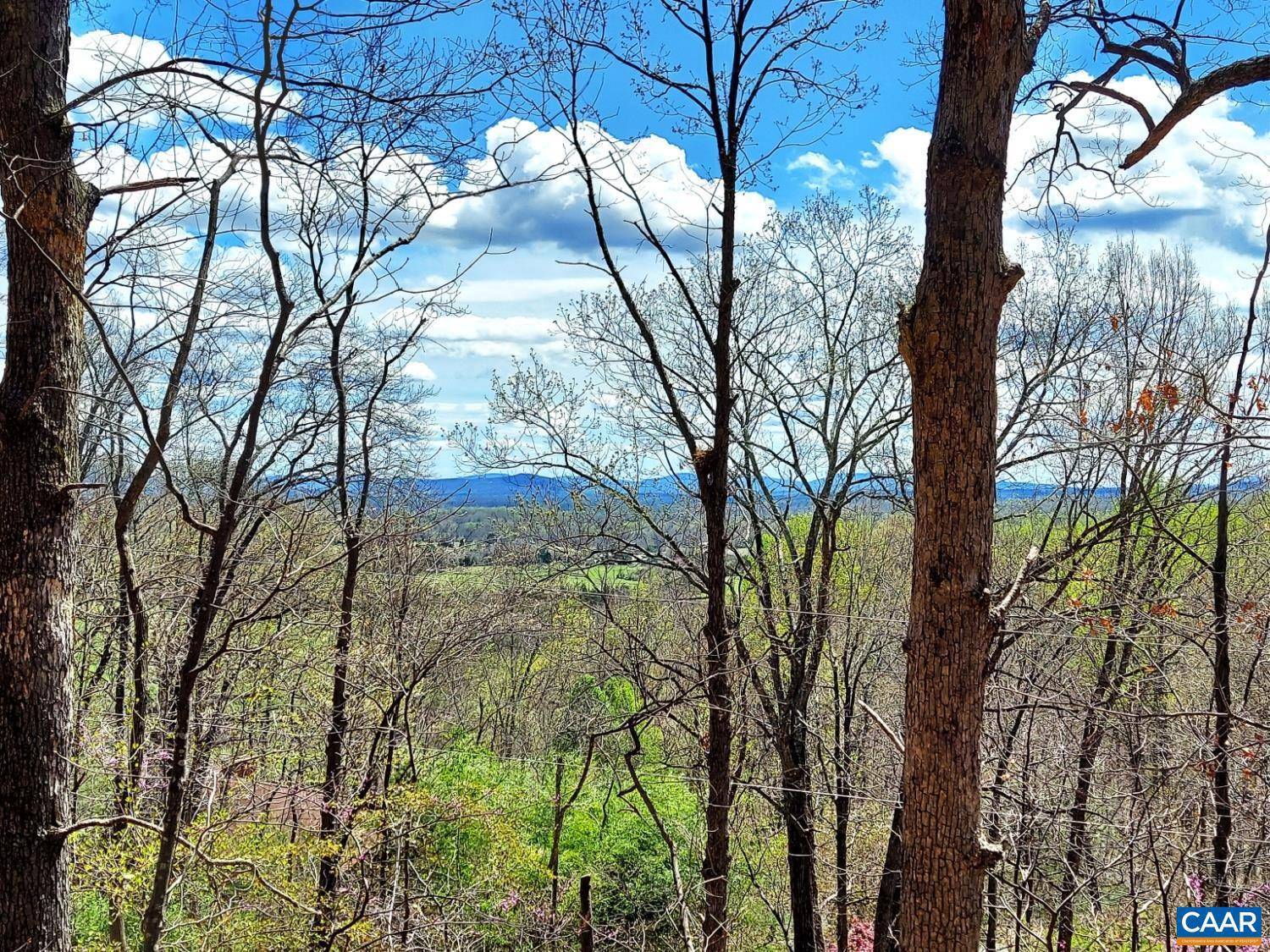 Stanardsville, VA 22973,TBD LOT 41 FARMVIEW RD #41