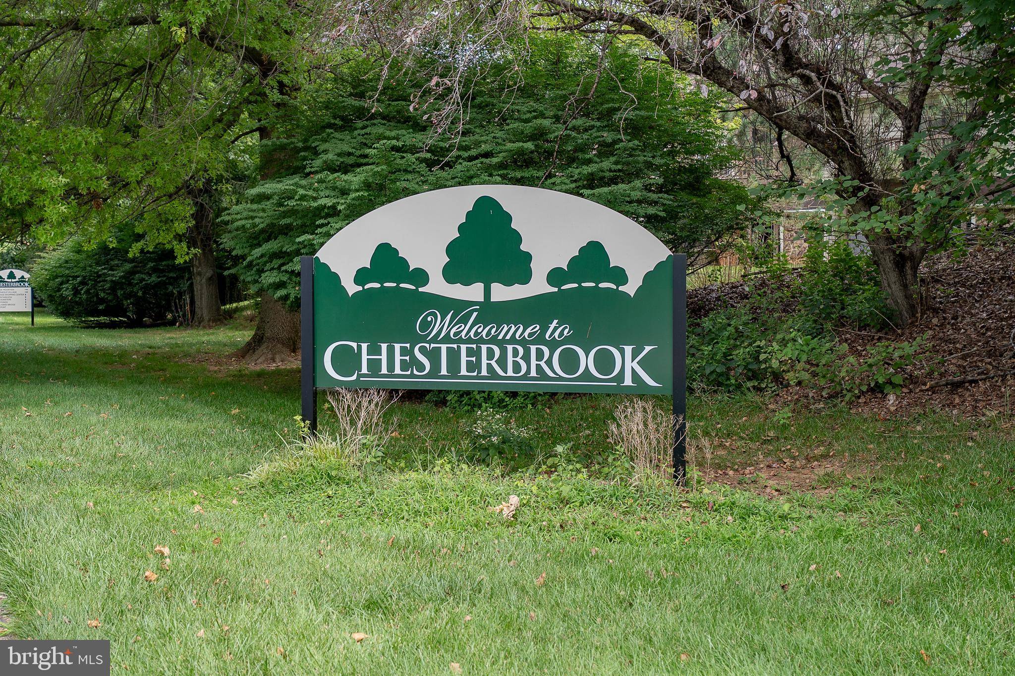 Chesterbrook, PA 19087,54 LE FORGE