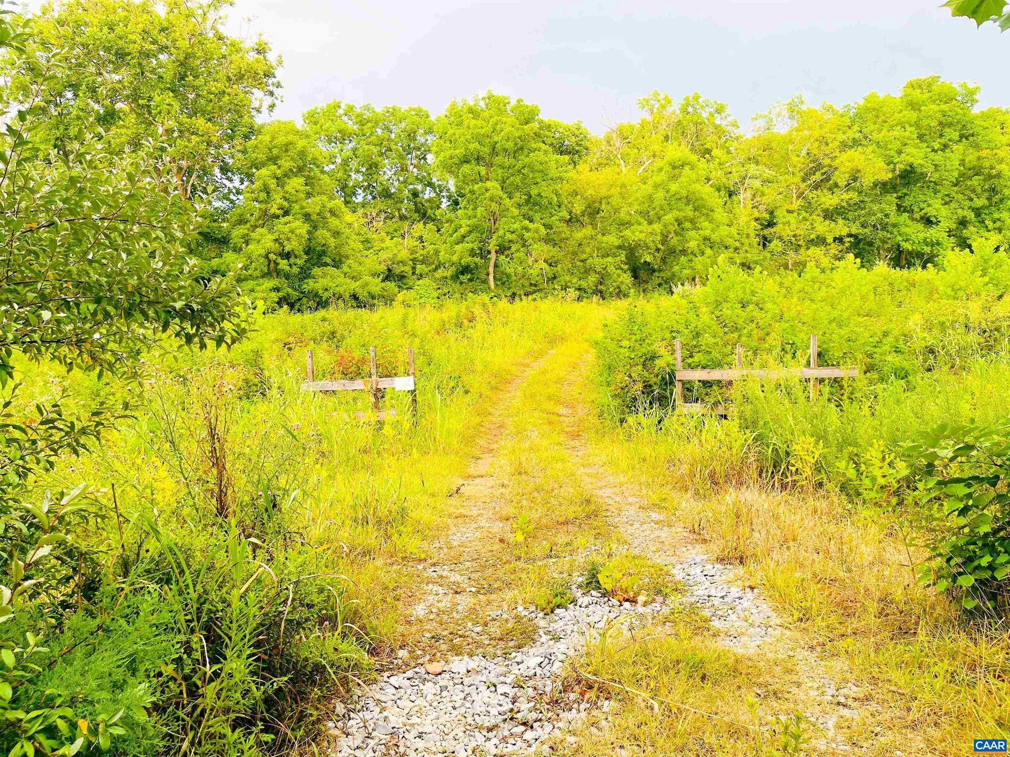 Waynesboro, VA 22980,LOT 46A ROCKFISH RD