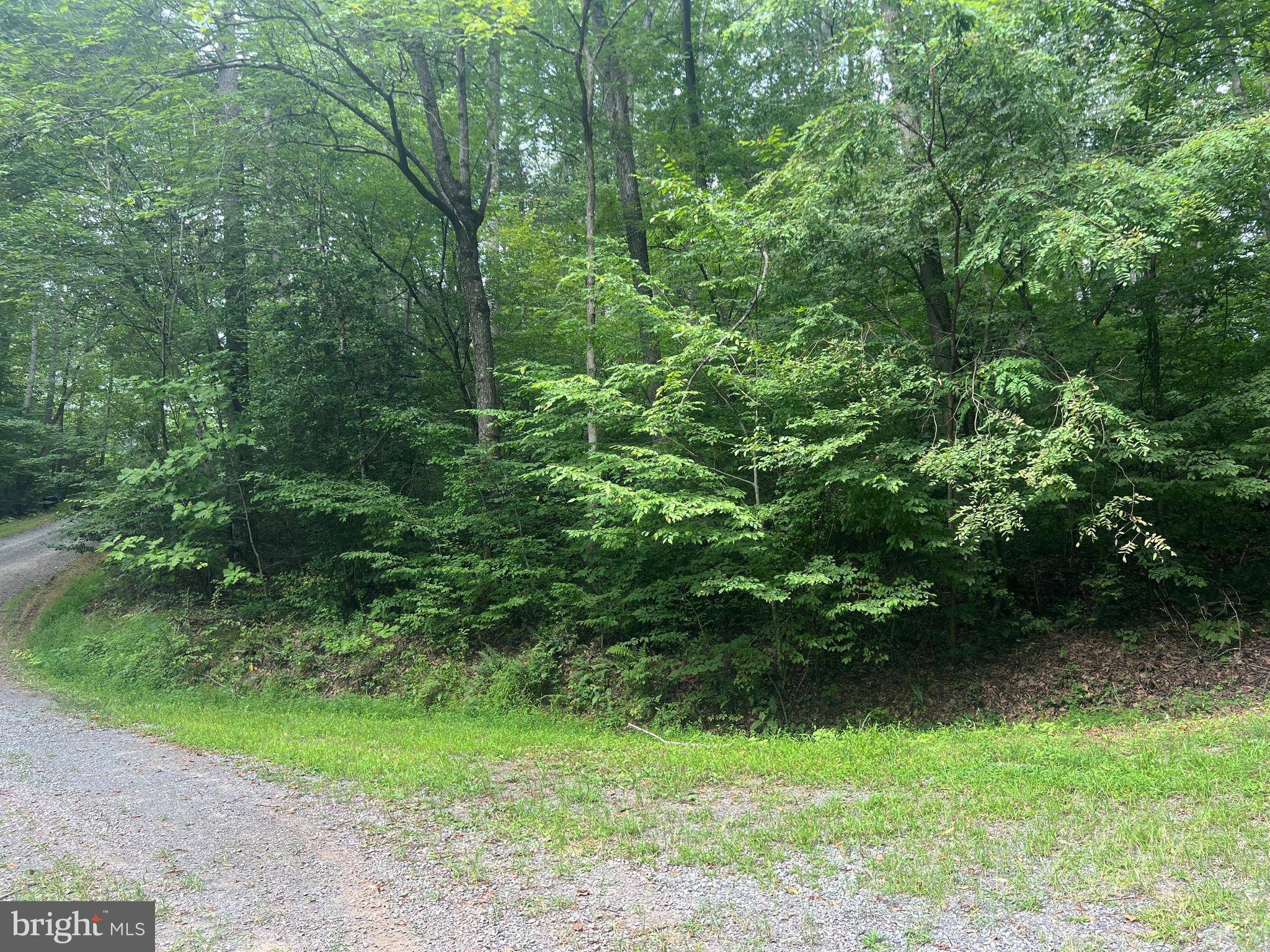 Boston, VA 22713,LOT 29 DEER LN