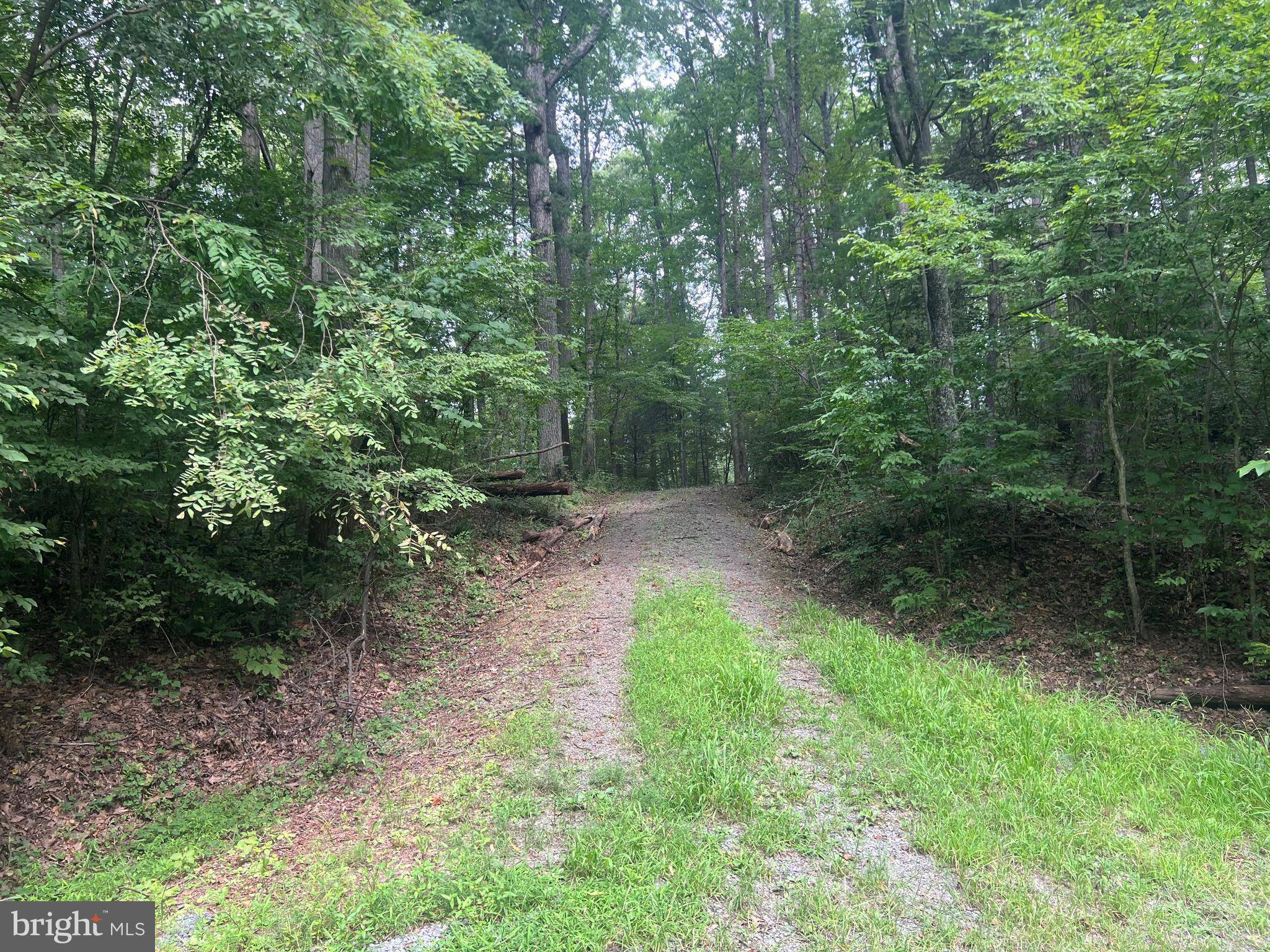 Boston, VA 22713,LOT 29 DEER LN