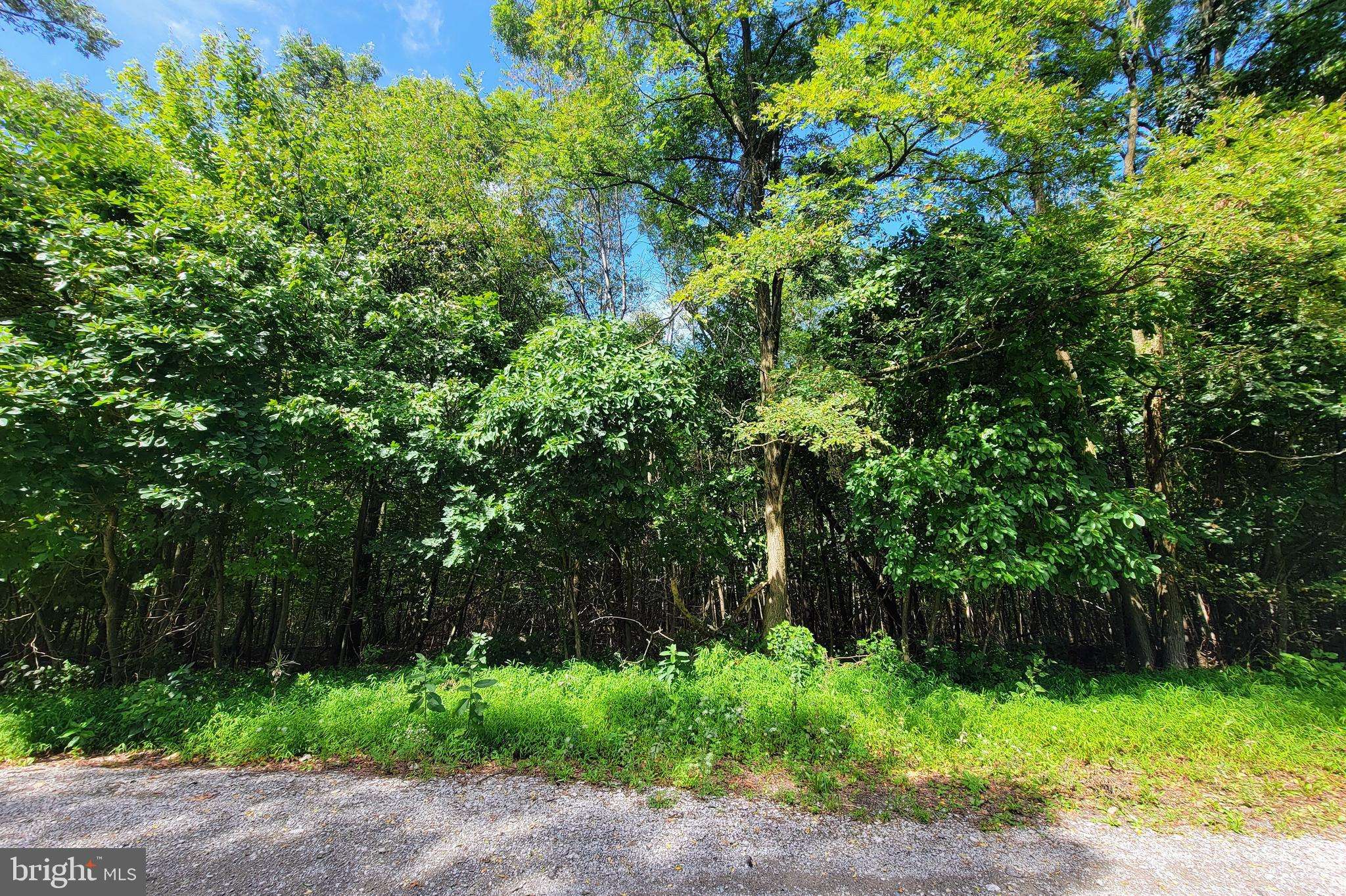 Tamaqua, PA 18252,0 WHITETAIL CROSSINGS RD