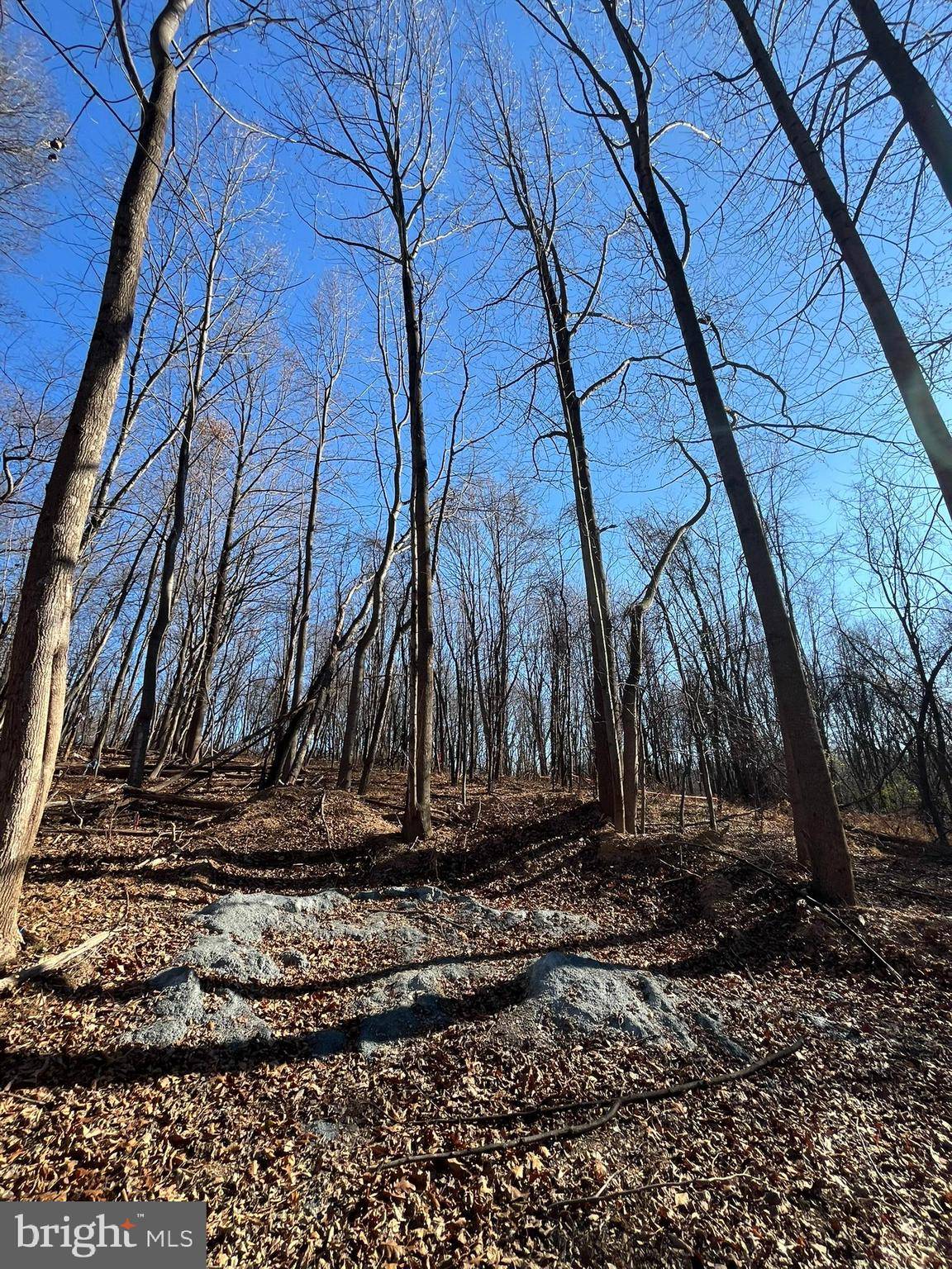 Mount Airy, MD 21771,LOT 4 WOODVILLE RD #RIDGEWAY