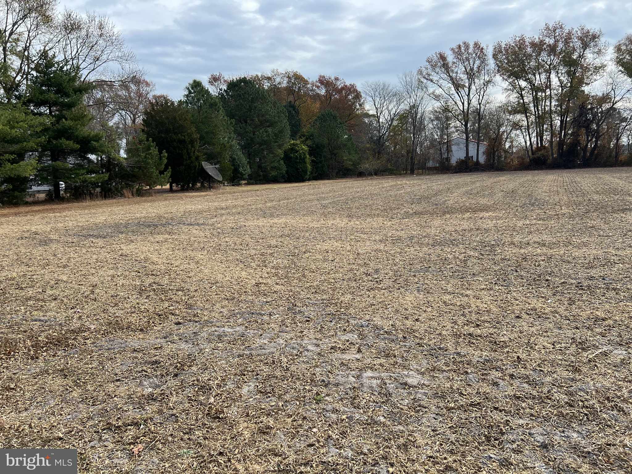 Selbyville, DE 19975,1.26 ACRE LOT ROXANNA RD