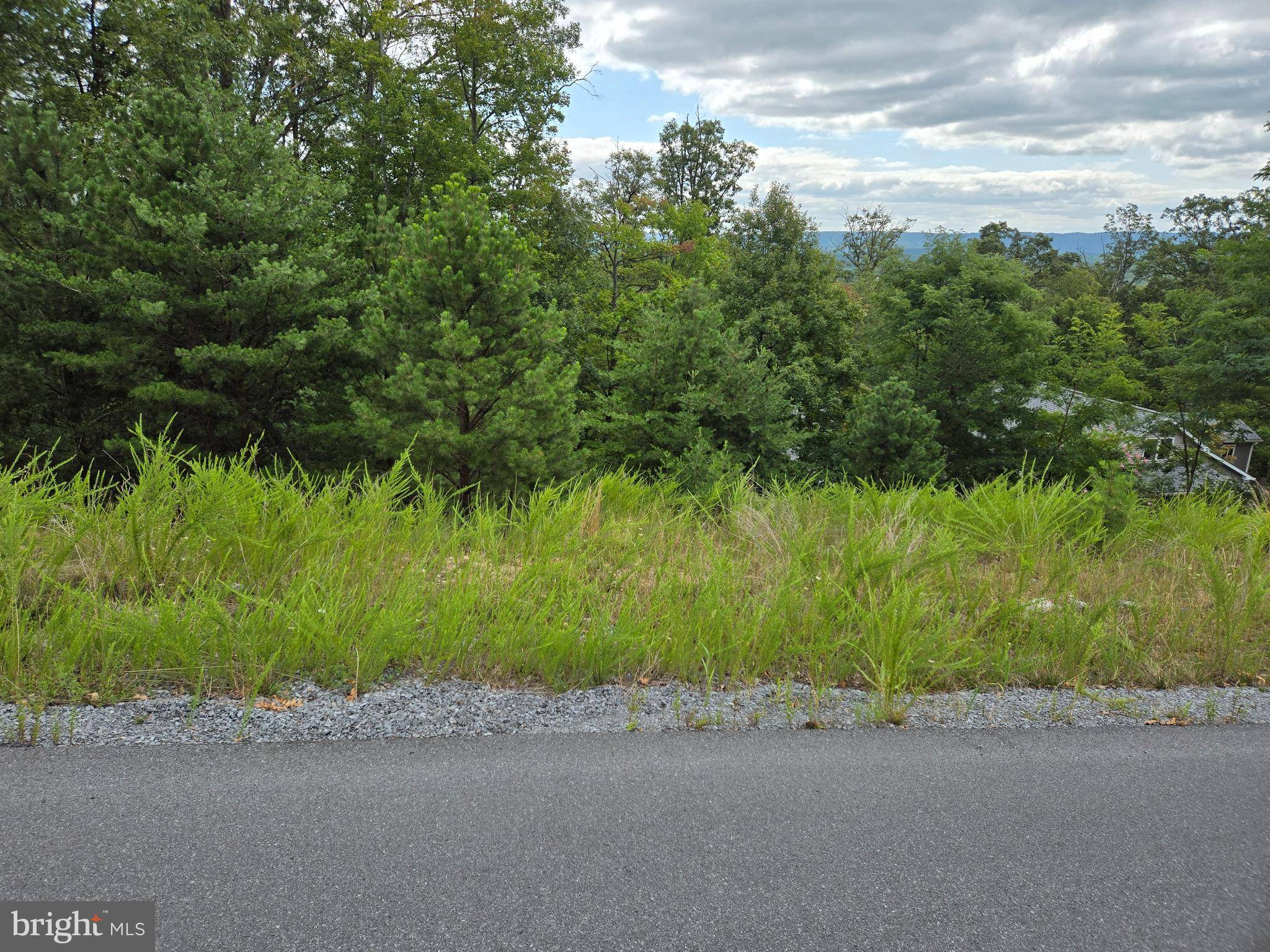 Hedgesville, WV 25427,LOT 7 MOUNDBUILDER LOOP