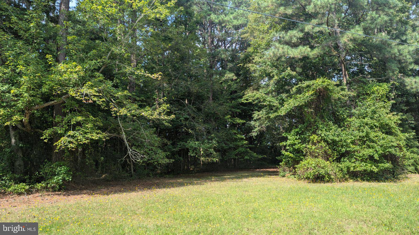 Montross, VA 22520,LOT 6 LIGHTHOUSE LANE