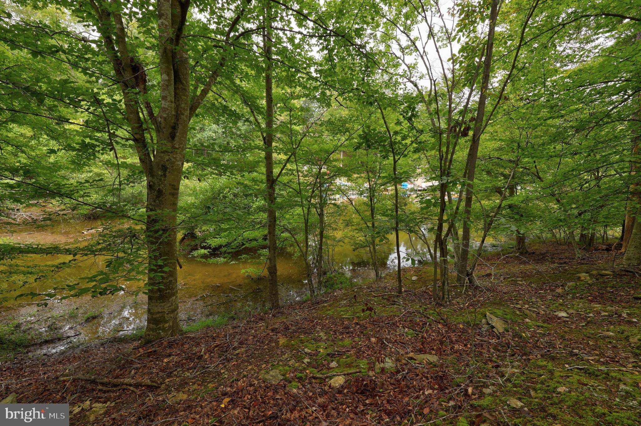 Palmyra, VA 22963,JEFFERSON DR