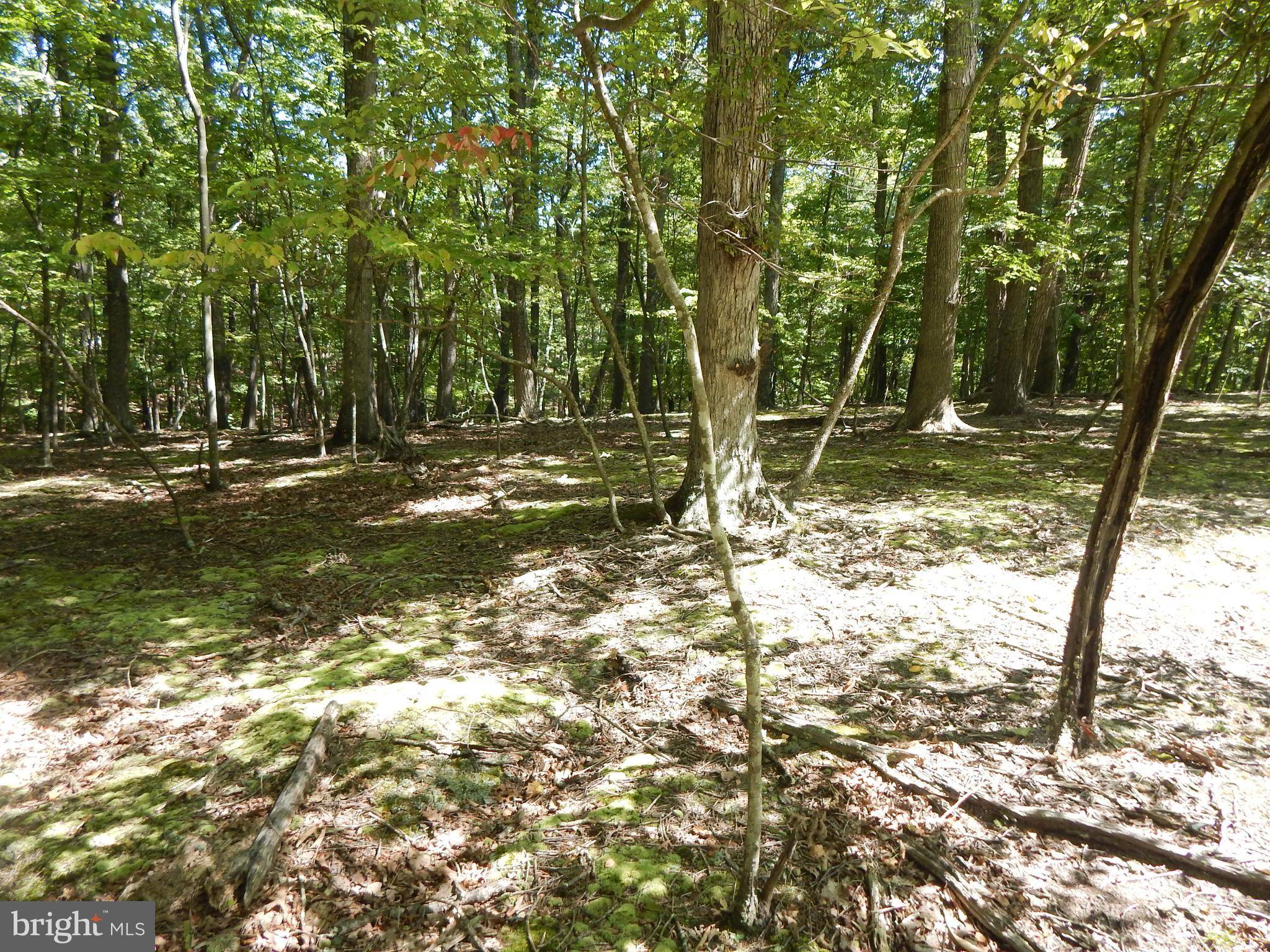 Great Cacapon, WV 25422,SIDELING MOUNTAIN TRL