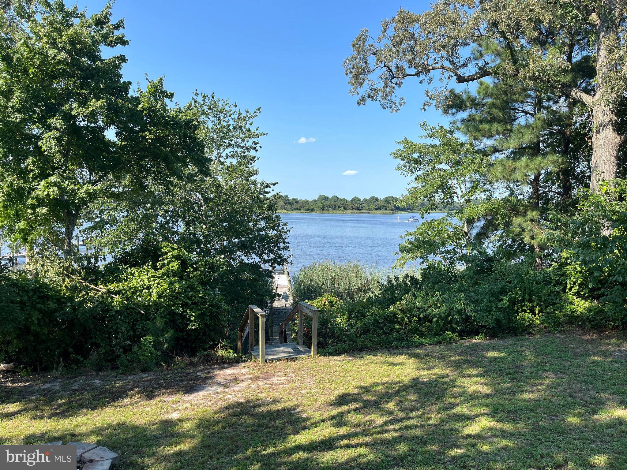 Dagsboro, DE 19939,29959 MOUNTAIN LAUREL