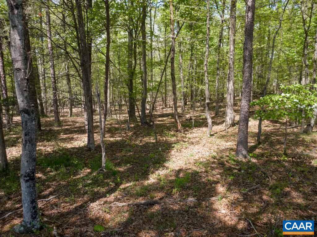 Barboursville, VA 22923,LOT 12 HARVEST LN