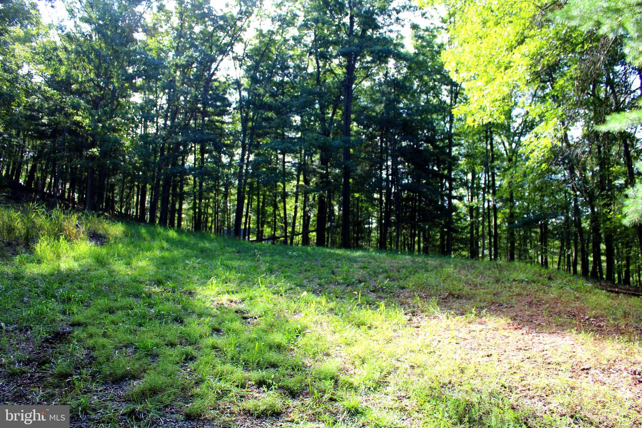 Paw Paw, WV 25434,LOT 135 RIVER BEND DR