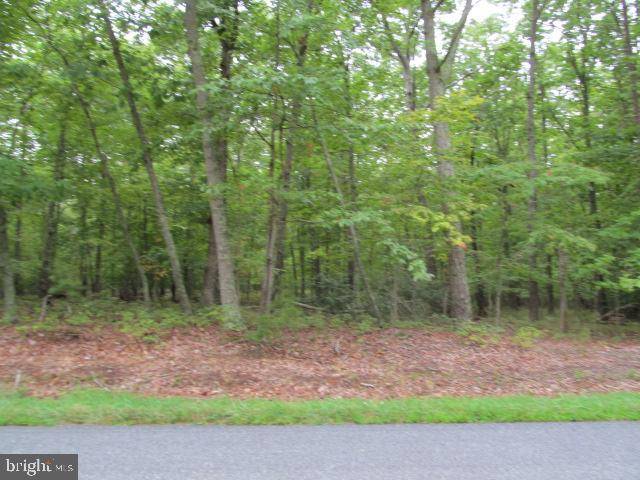 Orange, VA 22960,00 KENDALL RD