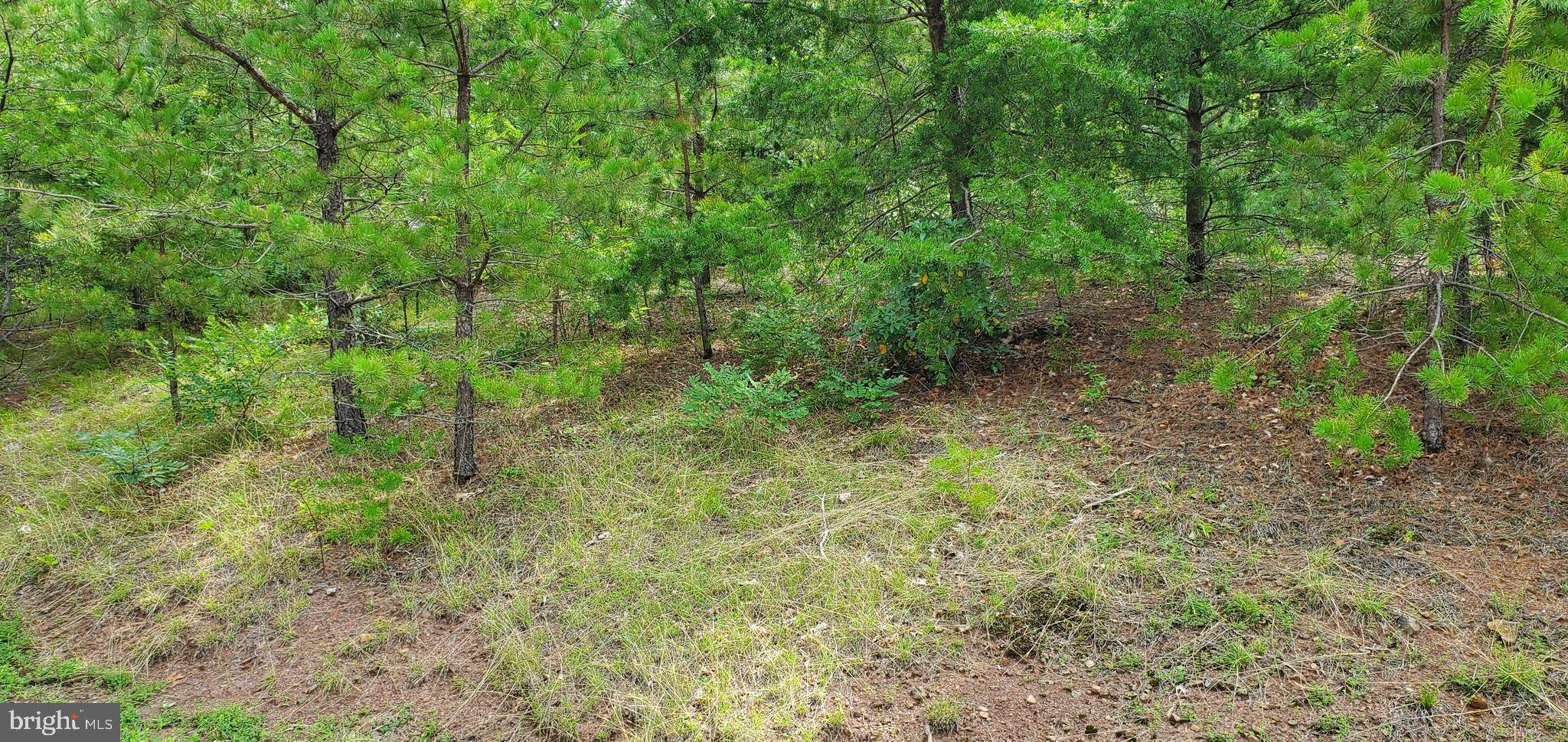 Hedgesville, WV 25427,LOT 68 TOBOGGAN HILL TRAIL