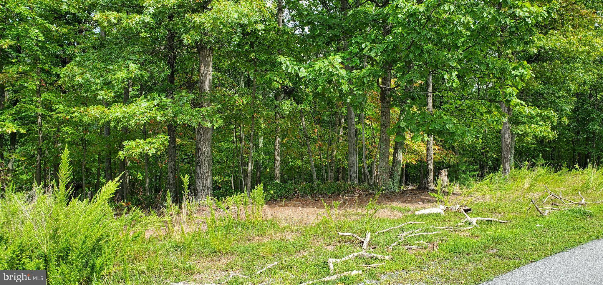 Hedgesville, WV 25427,LOT 68 TOBOGGAN HILL TRAIL