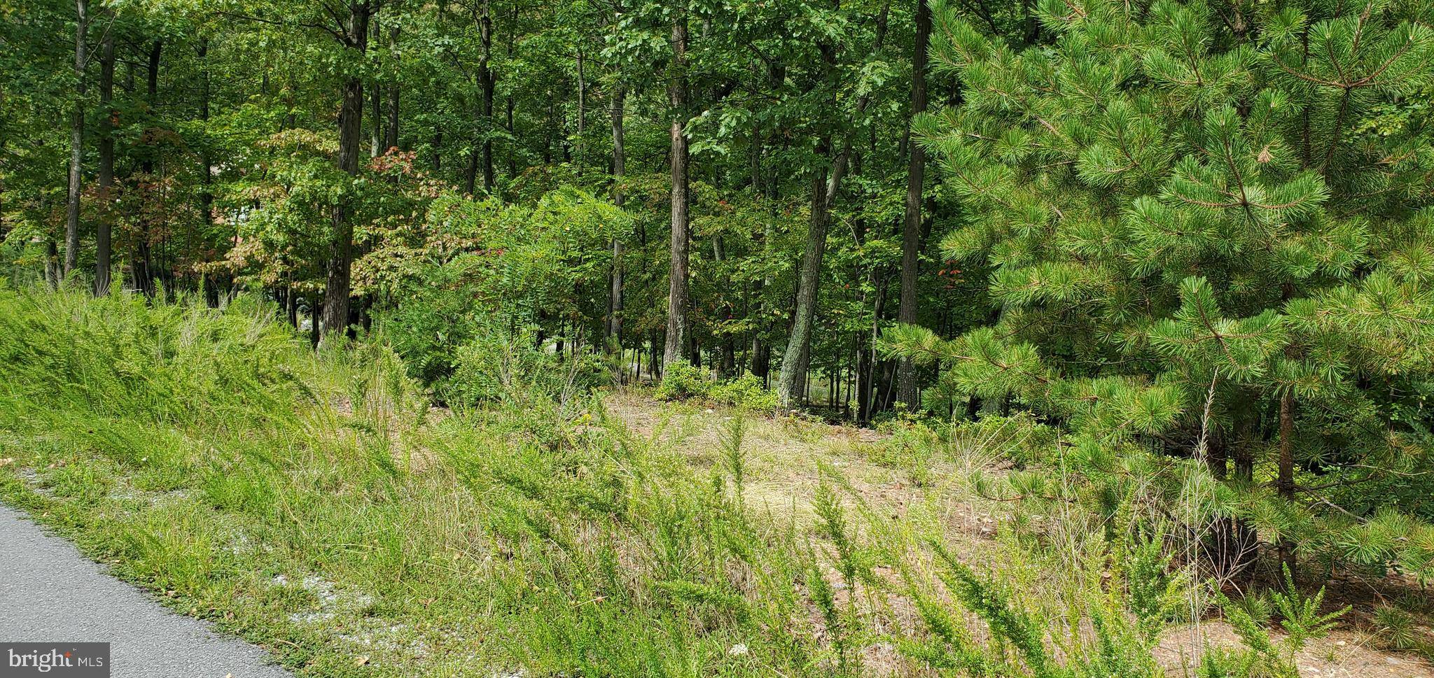 Hedgesville, WV 25427,LOT 68 TOBOGGAN HILL TRAIL