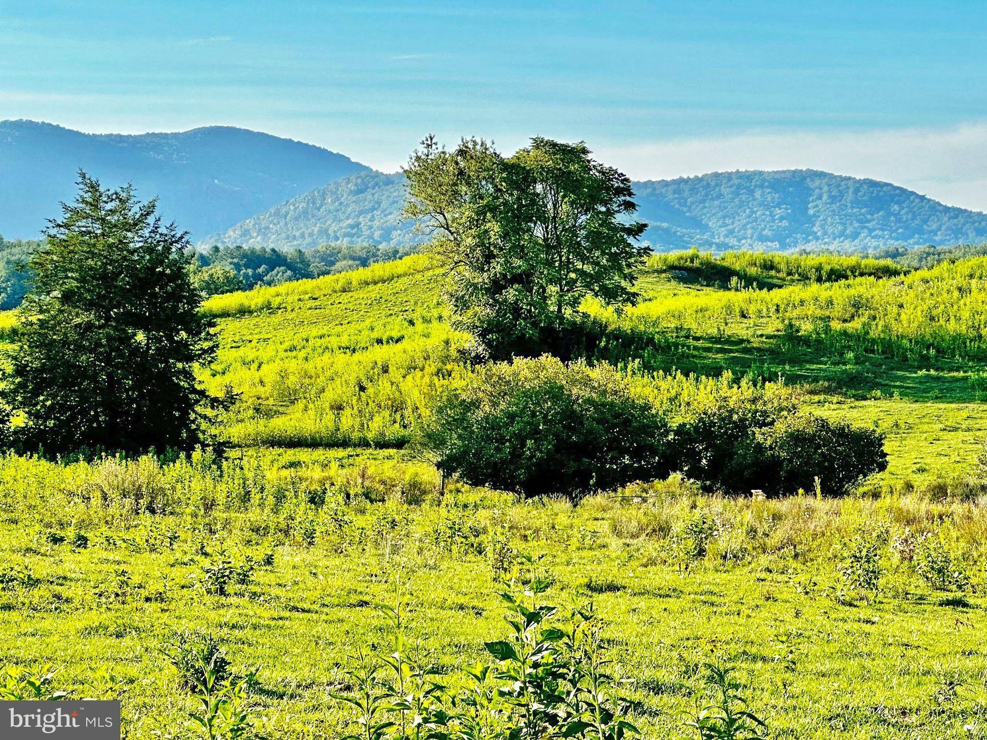 Marshall, VA 20115,PASTURE LANE