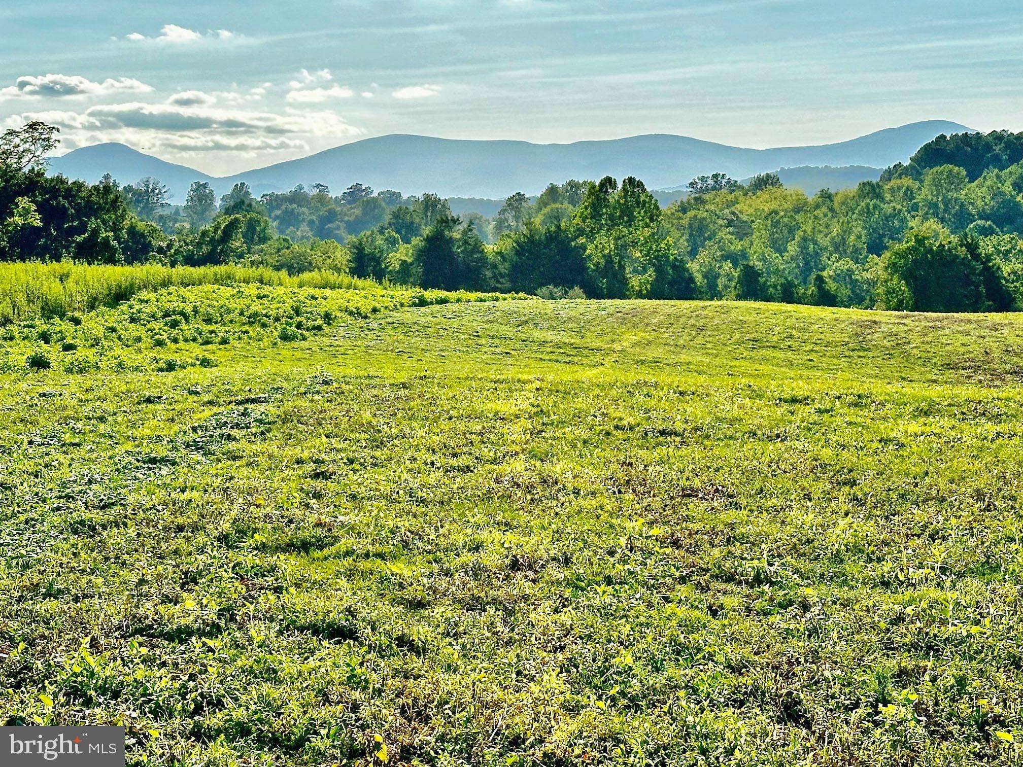 Marshall, VA 20115,PASTURE LANE