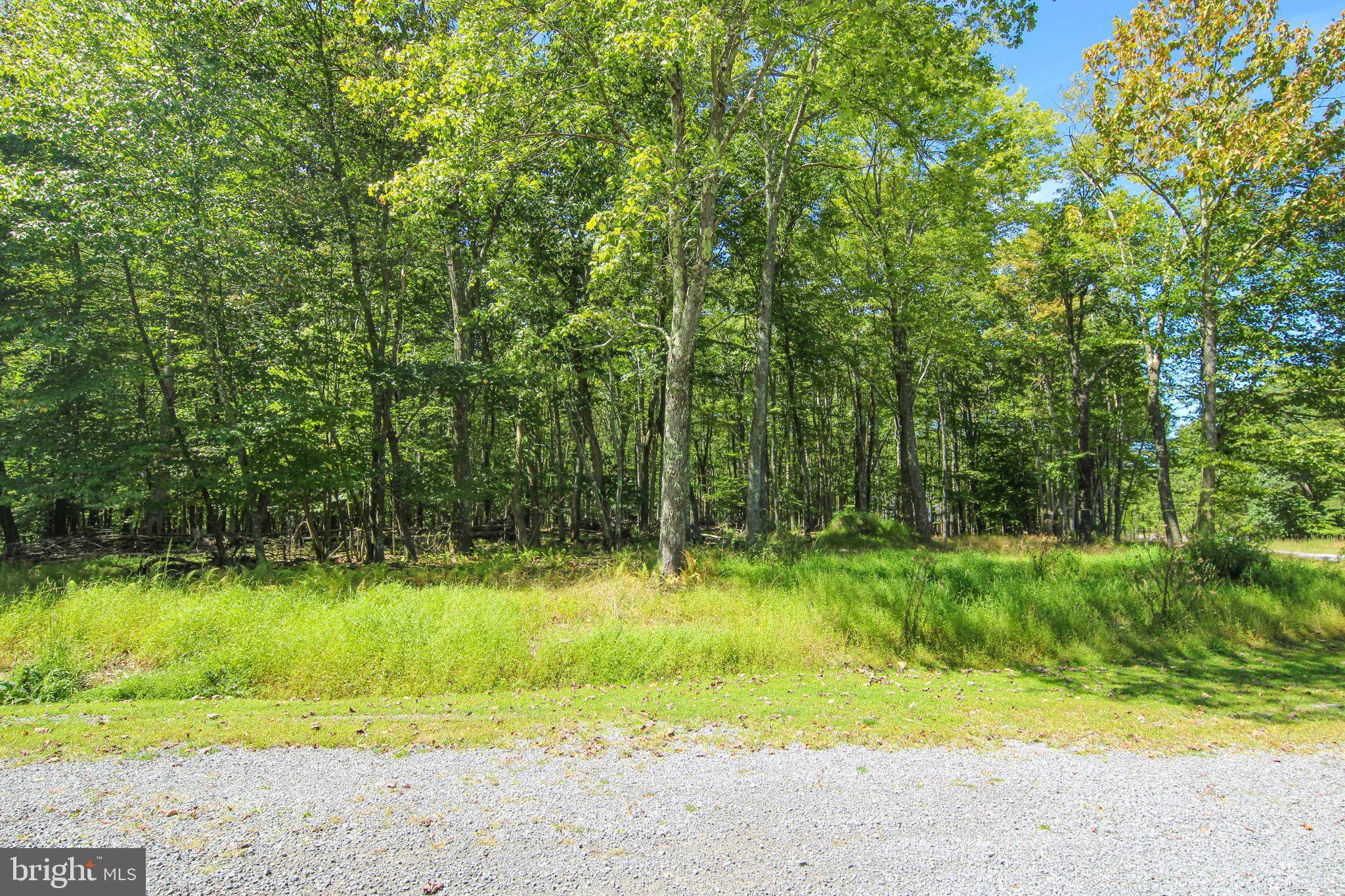 Oakland, MD 21550,LOT 13 BRYAN DR