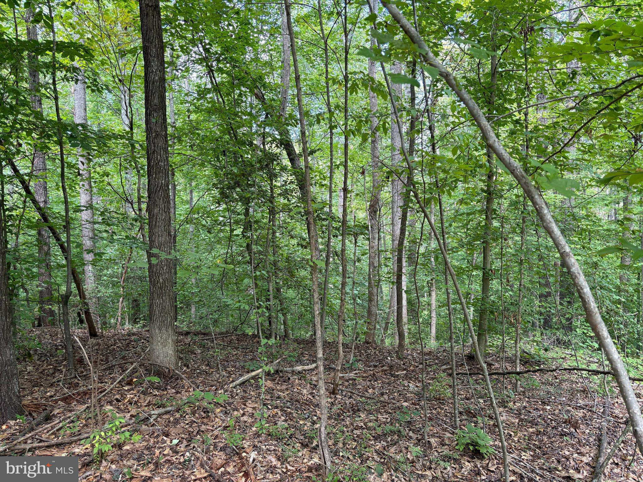 Mineral, VA 23117,LOT 154 ERIN LANE