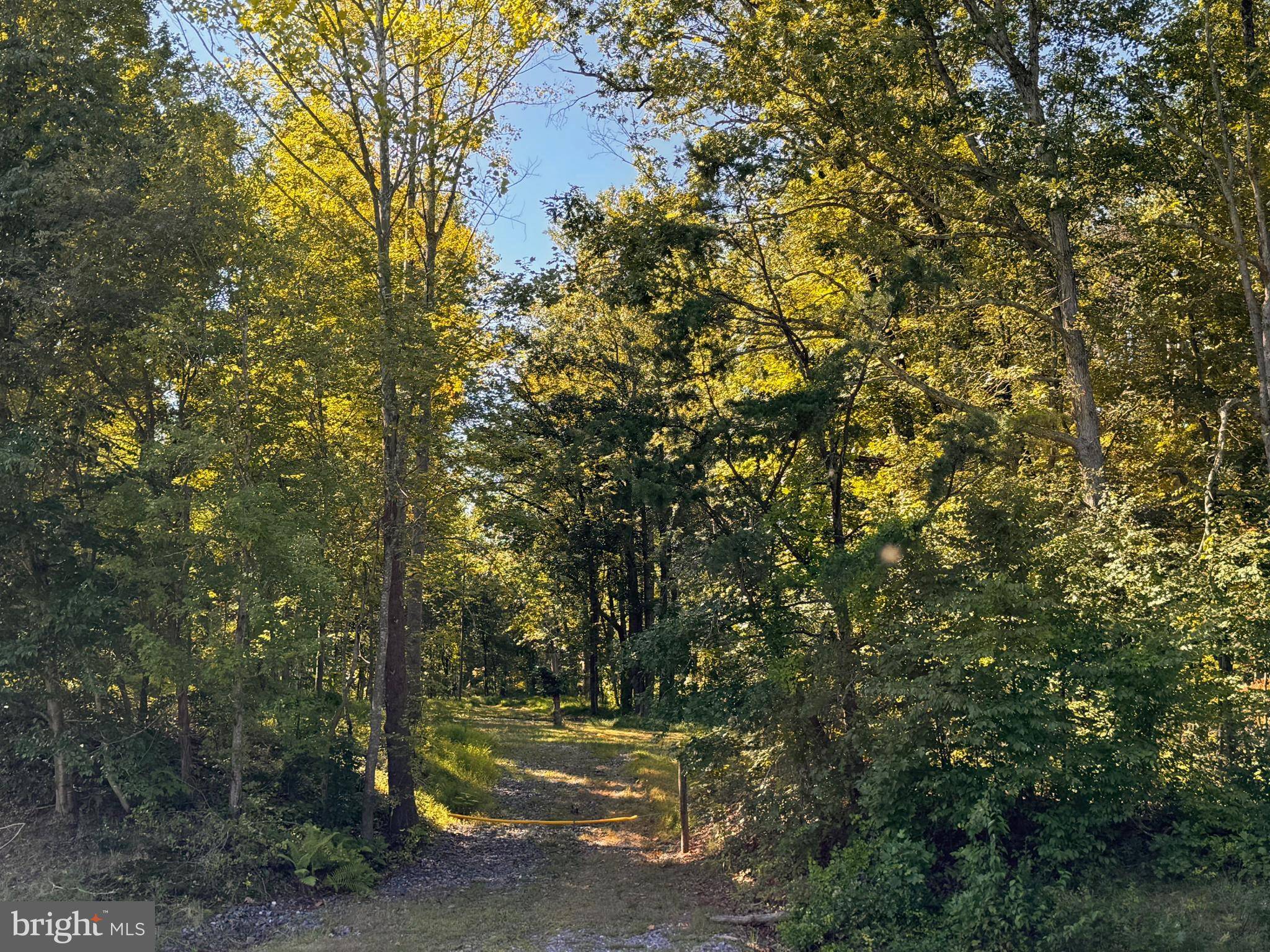 Amissville, VA 20106,0 LEE HIGHWAY