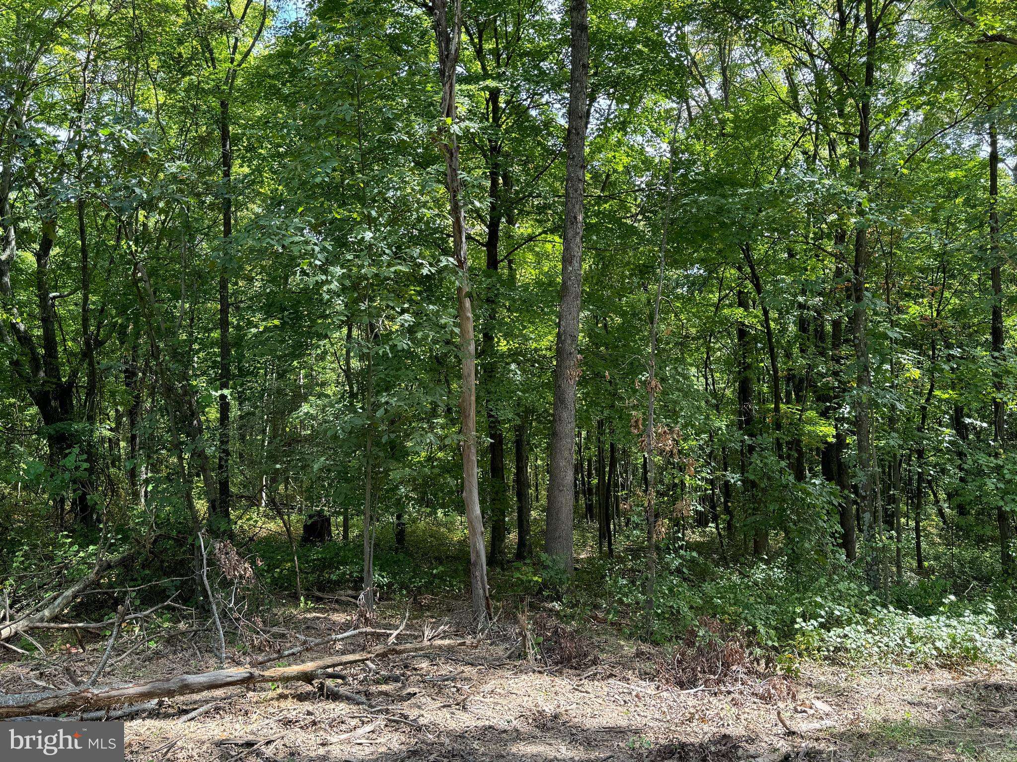 Cross Junction, VA 22625,LOT 1, N TIMBER RIDGE ROAD