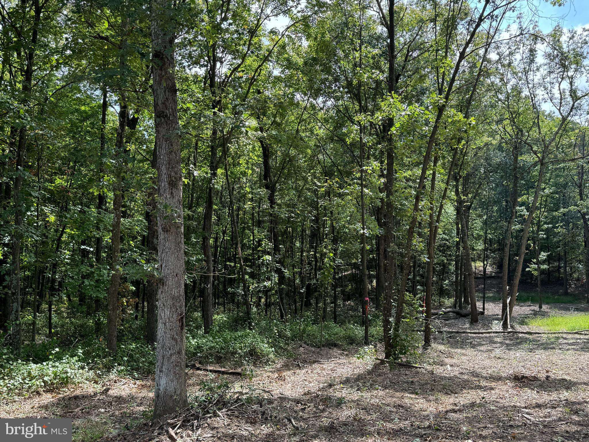 Cross Junction, VA 22625,LOT 1, N TIMBER RIDGE ROAD