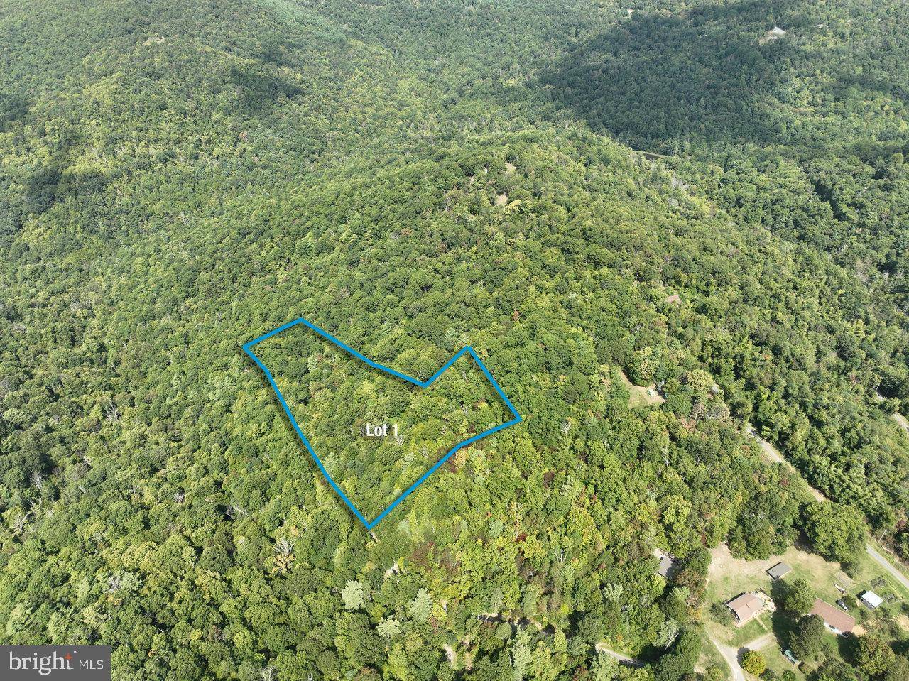 Stanley, VA 22851,LOT 1 PRICE RIDGE RD