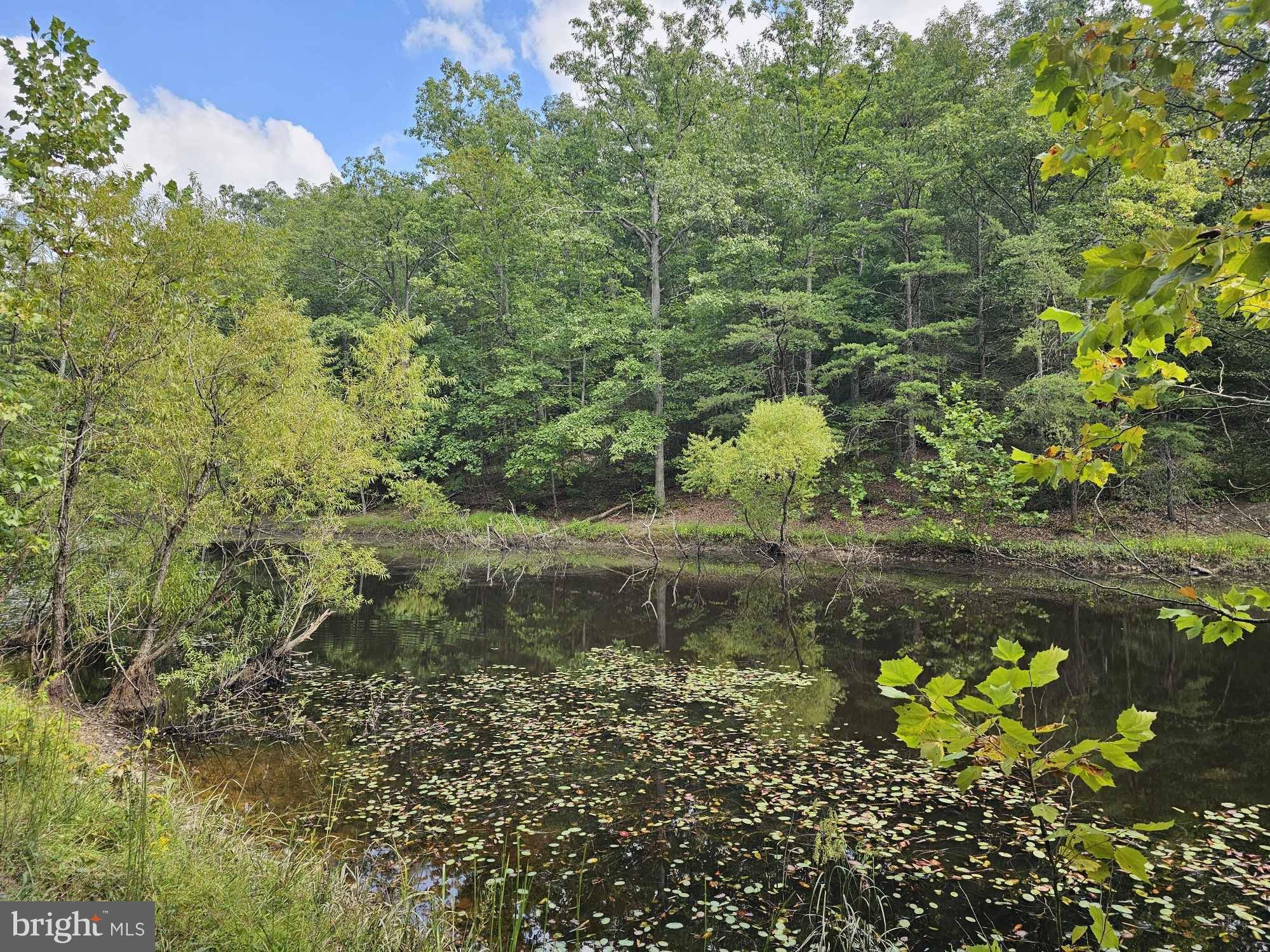 Berkeley Springs, WV 25411,LOT 15 & 16 HOLLOW VIEW LN.