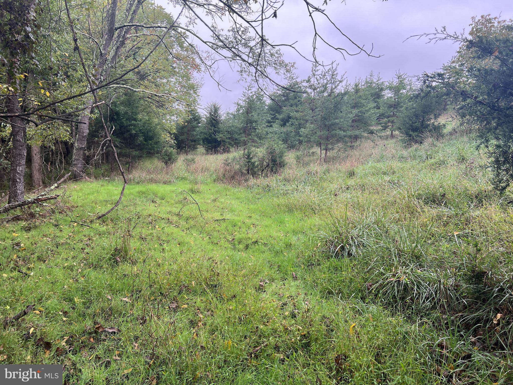 Berkeley Springs, WV 25411,HUSK TRAIL LOT 12