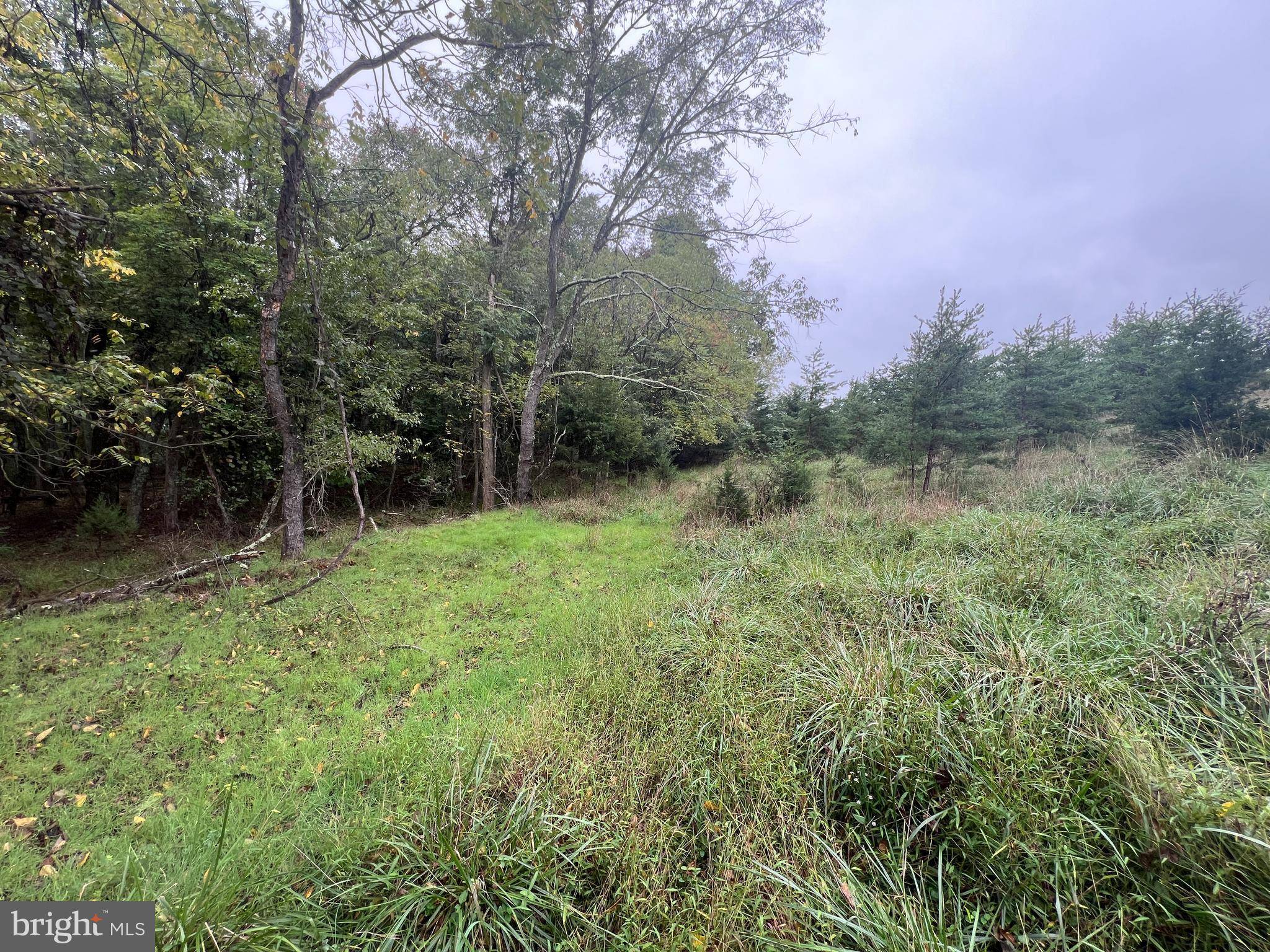 Berkeley Springs, WV 25411,HUSK TRAIL LOT 12