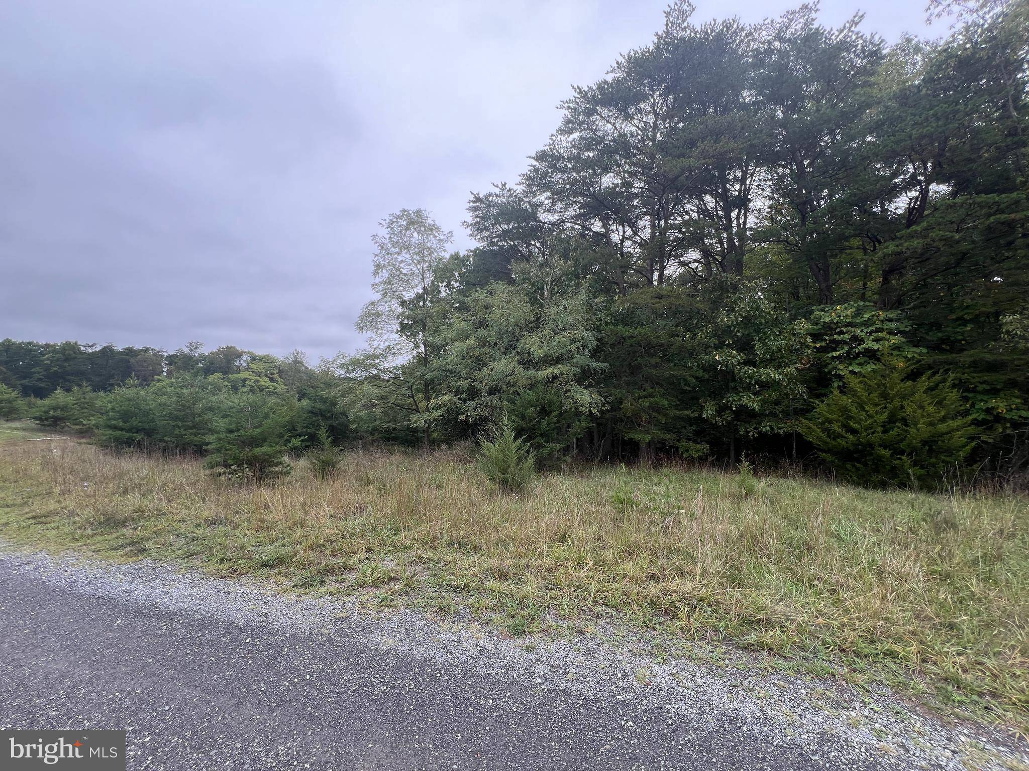 Berkeley Springs, WV 25411,HUSK TRAIL LOT 12