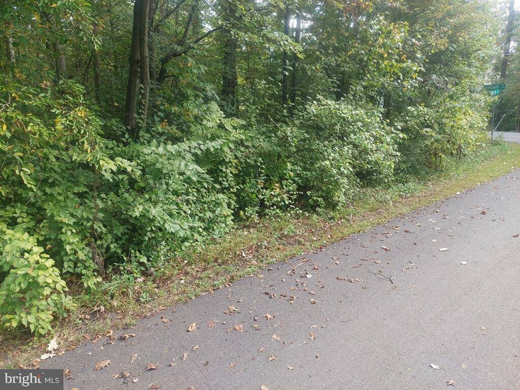 Stafford, VA 22556,LOT 53 BREEZY HILL DR