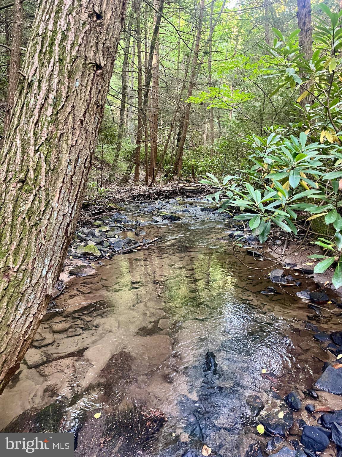 Beech Creek, PA 16822,22 BEECH CREEK MOUNTAIN RD