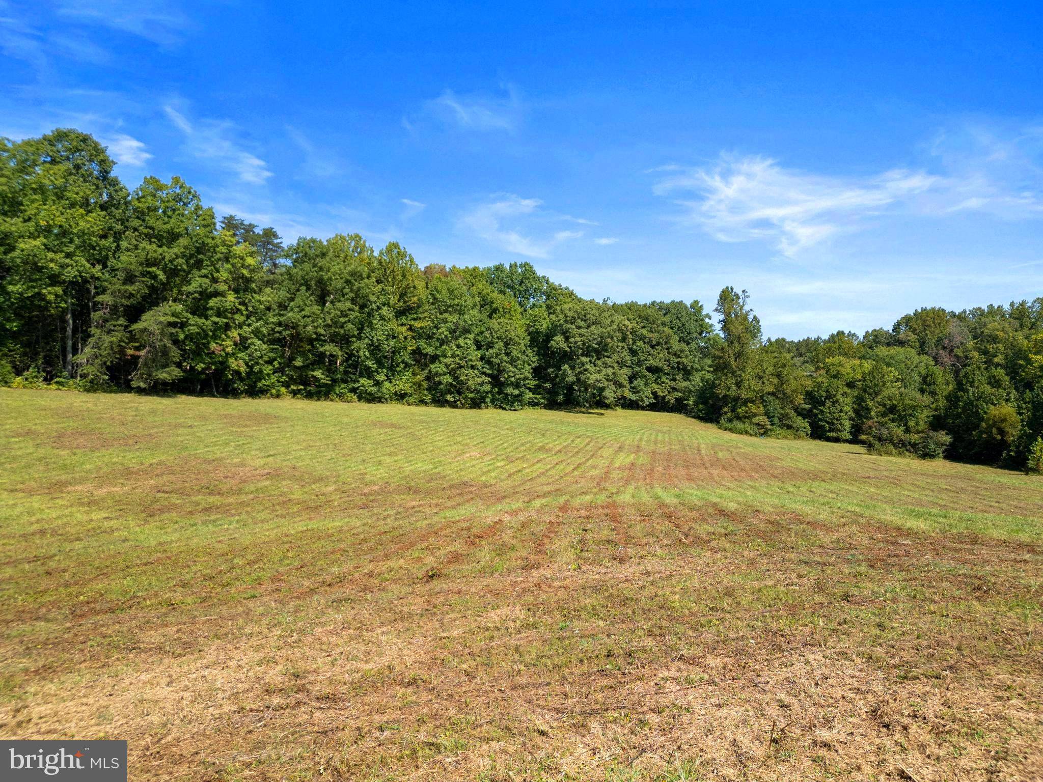 Culpeper, VA 22701,LOT A PF 4/209 ROSE HILL DR