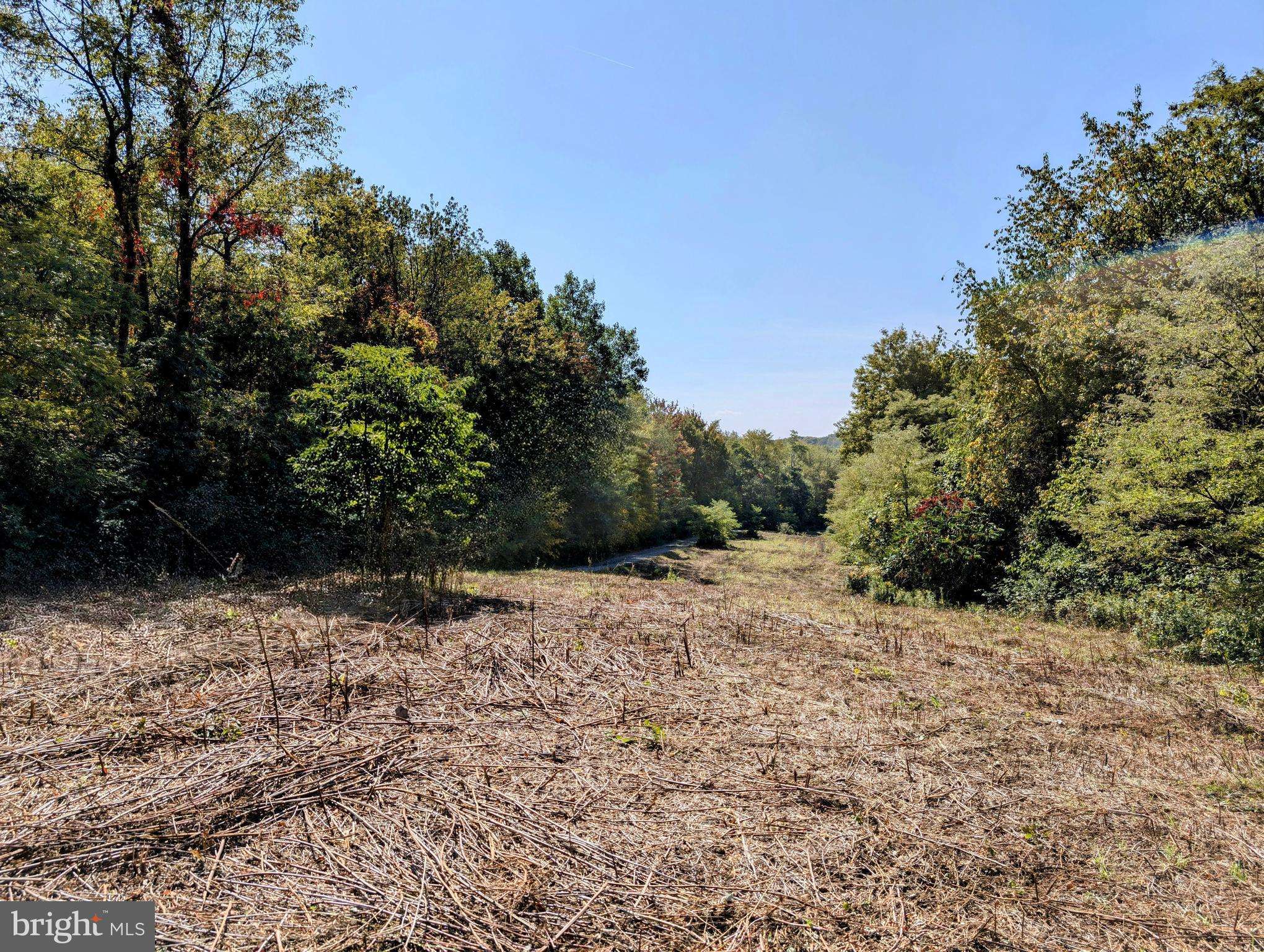 Duncansville, PA 16635,1849 POPLAR RUN ROAD #LOT #1