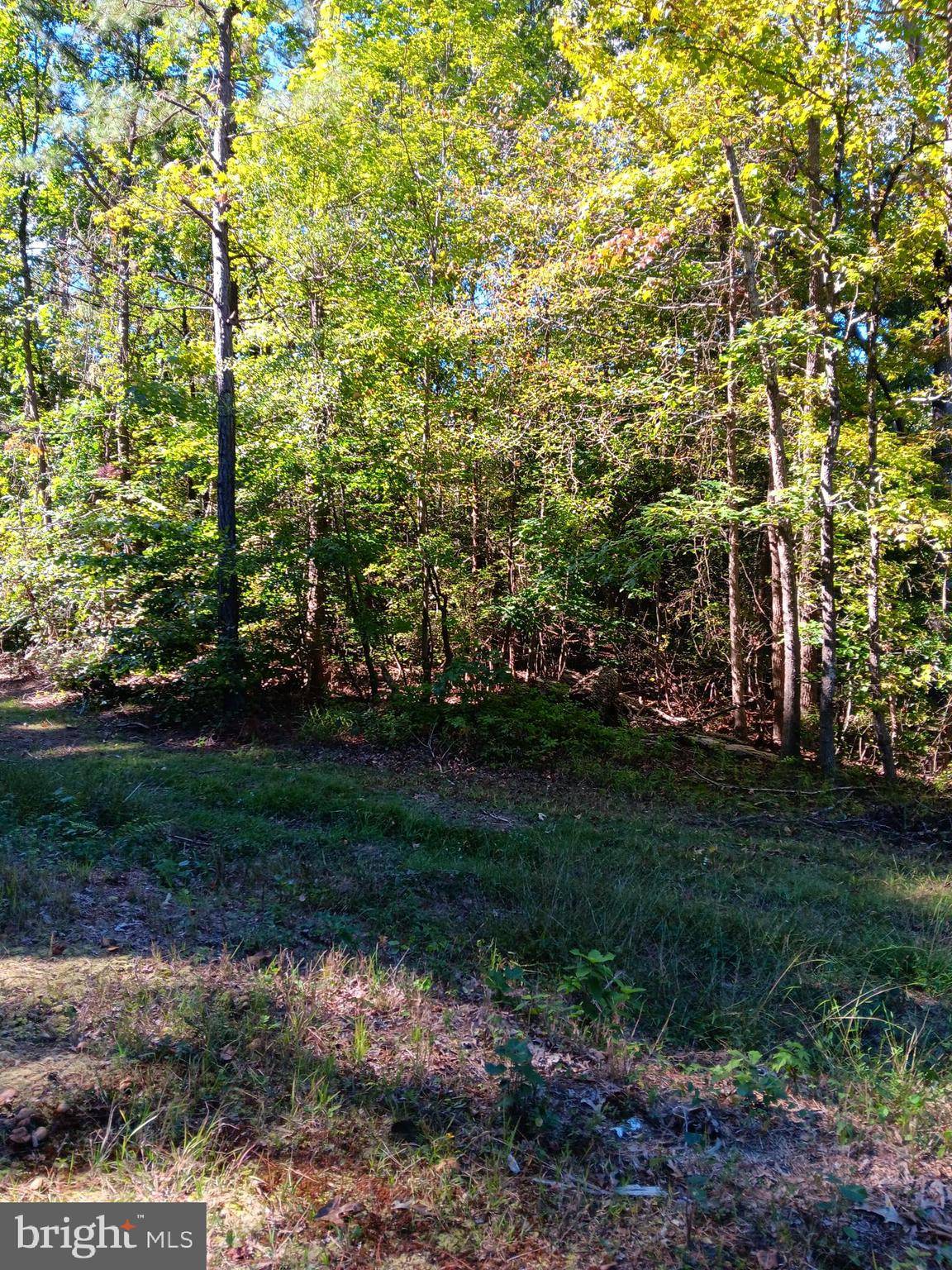 Colonial Beach, VA 22443,14TH STREET ESTATES LOT 12