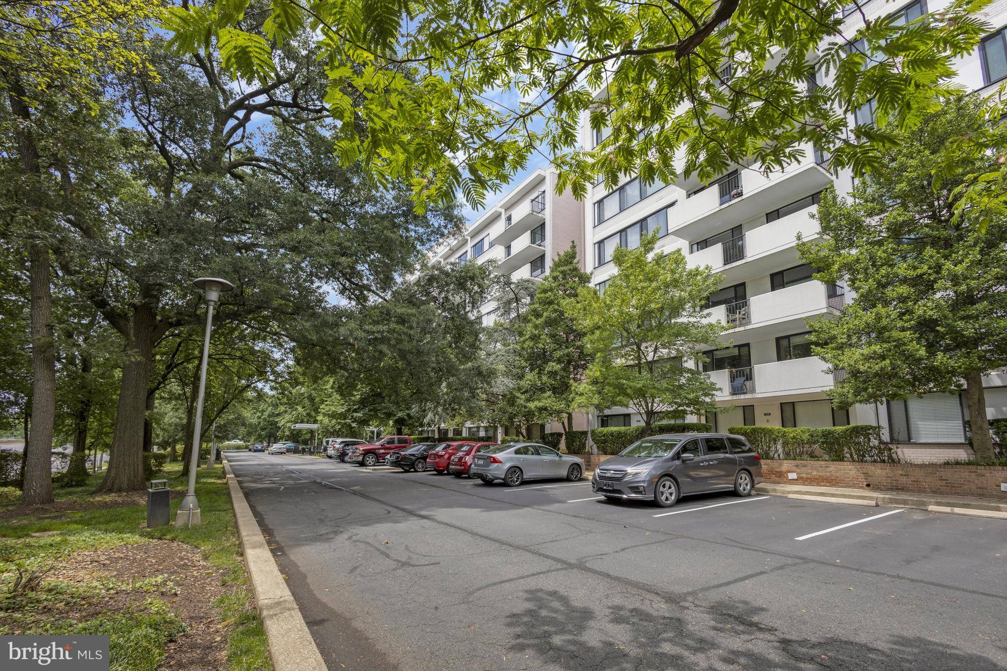 Arlington, VA 22203,4501 ARLINGTON BLVD #405