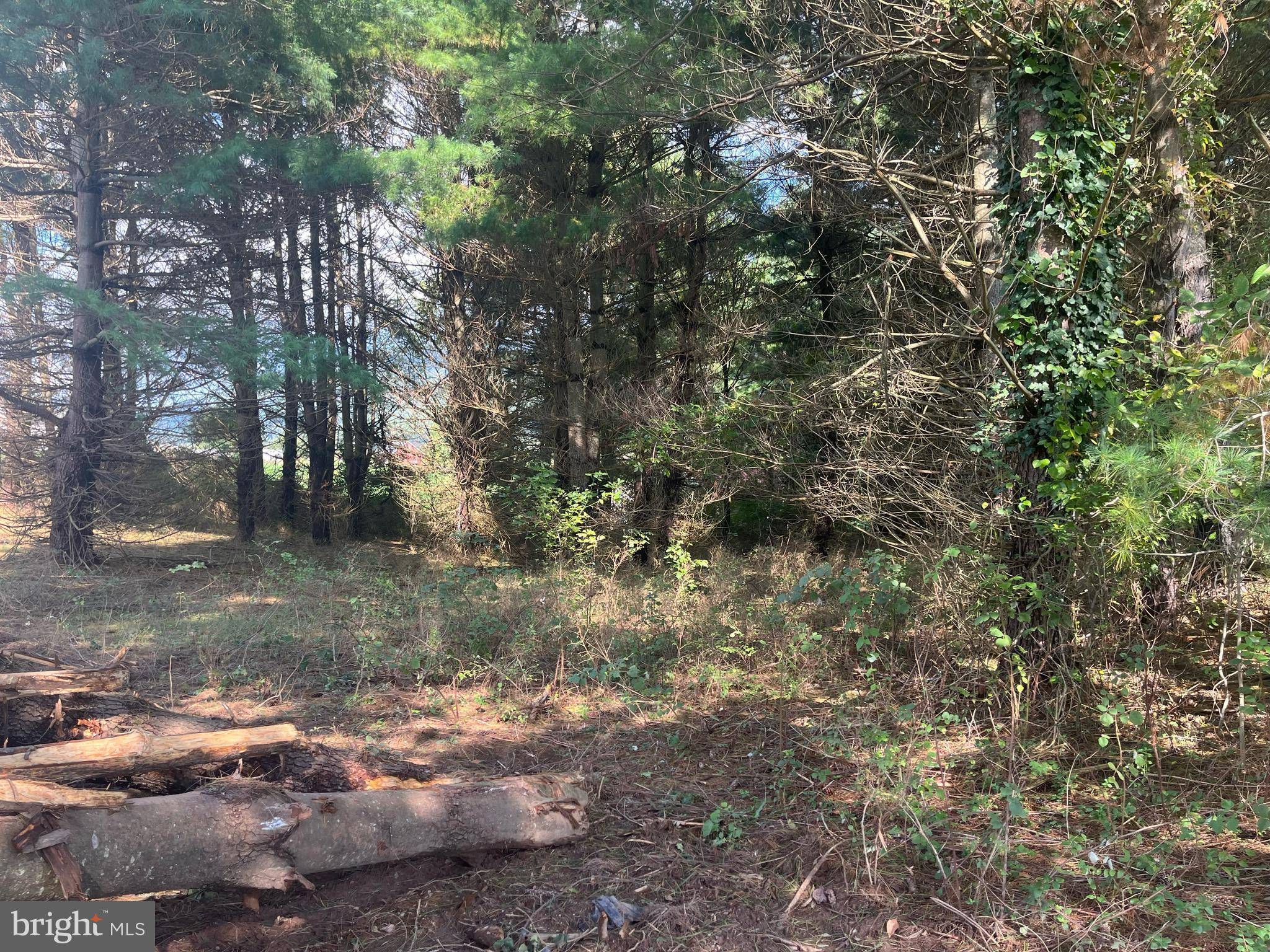 Bentonville, VA 22610,EVERGREEN - LOT 12A CT