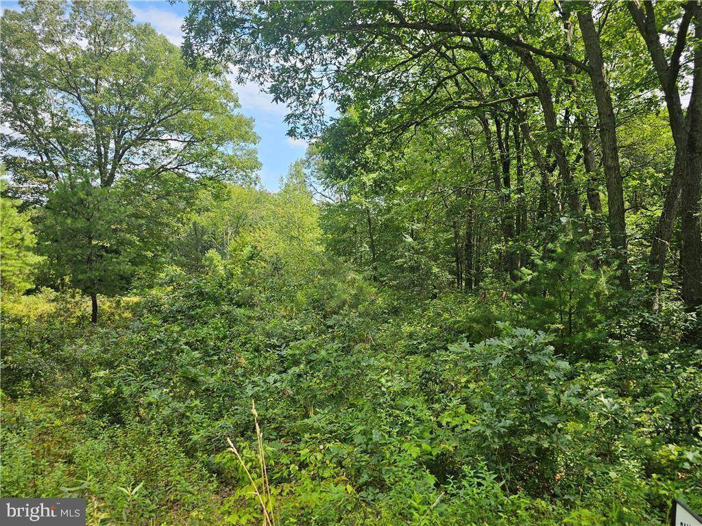 Jim Thorpe, PA 18229,FOX LN #LOT 148