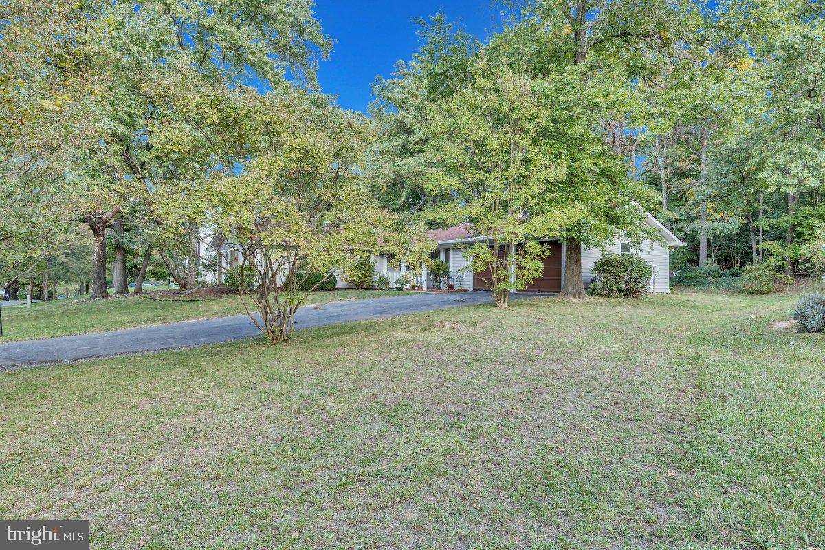 Laurel, MD 20708,12405 SILVERBIRCH LN