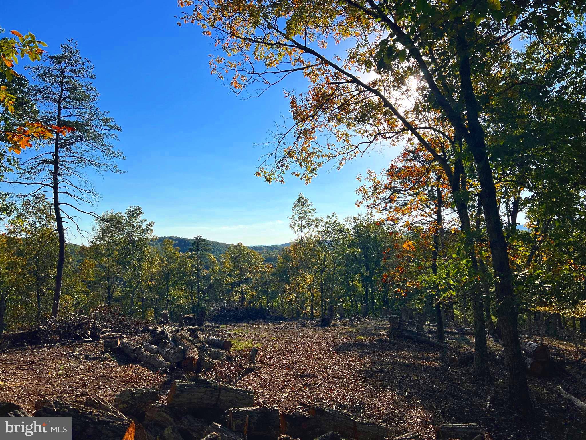 Burlington, WV 26710,33 PHEASANT RUN