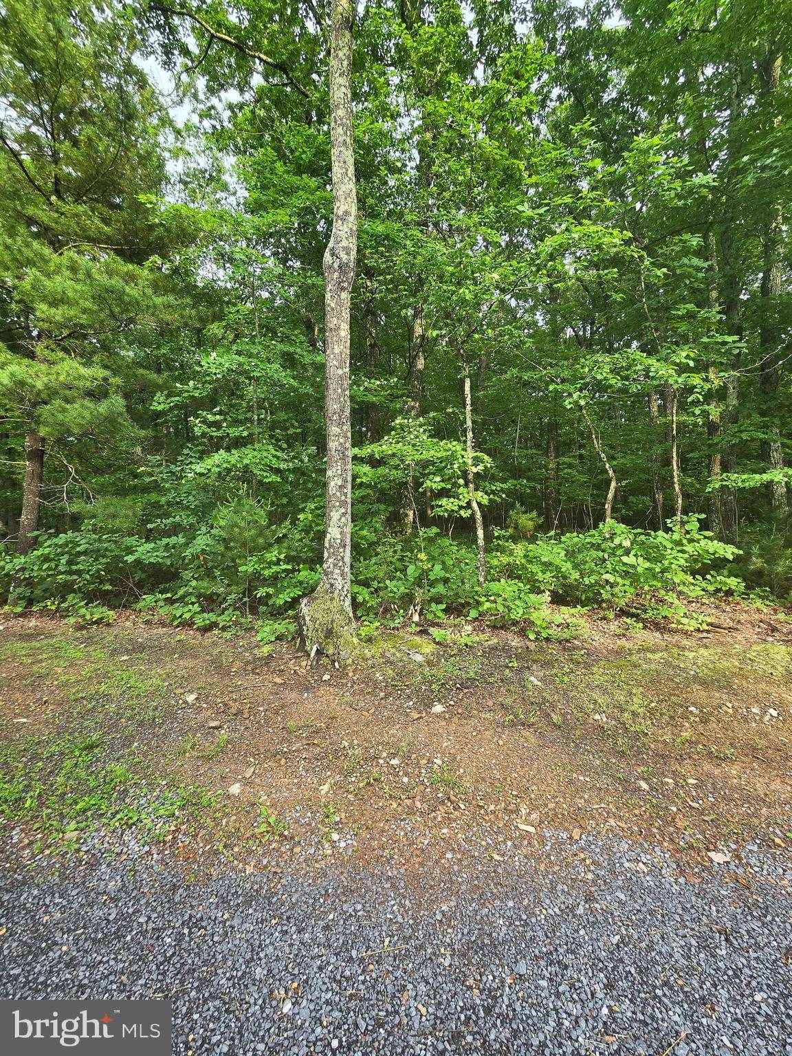 Winchester, VA 22602,LOT 4 CATTAIL ROAD