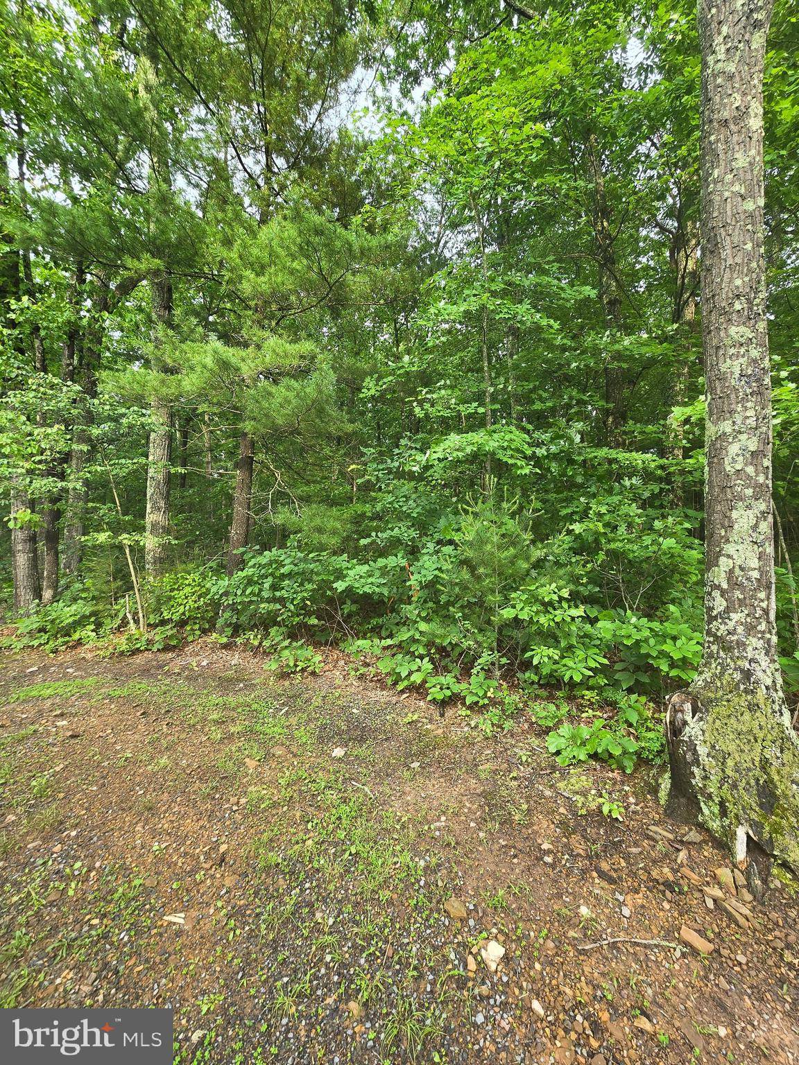 Winchester, VA 22602,LOT 4 CATTAIL ROAD