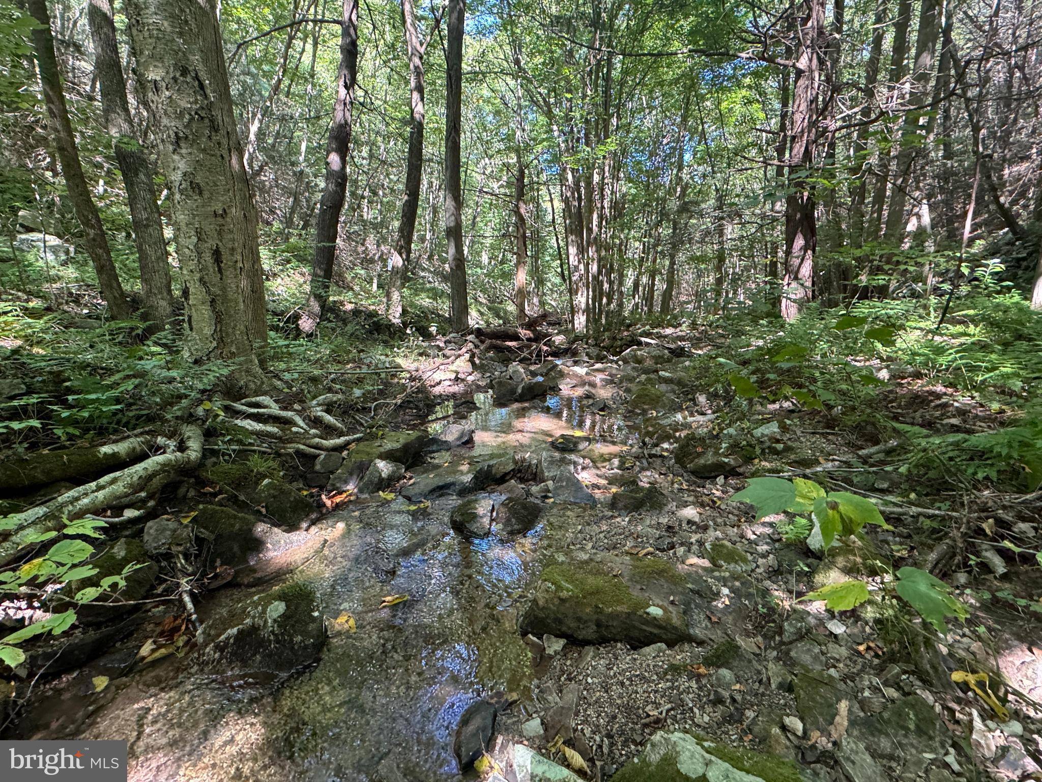 Three Springs, PA 17264,85+/- ACRES LAUREL MOUNTAIN RD