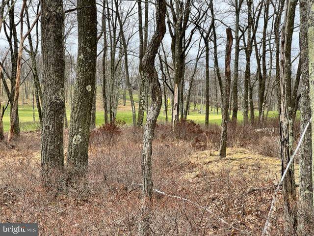 Hazle Township, PA 18202,431 HONEYSUCKLE